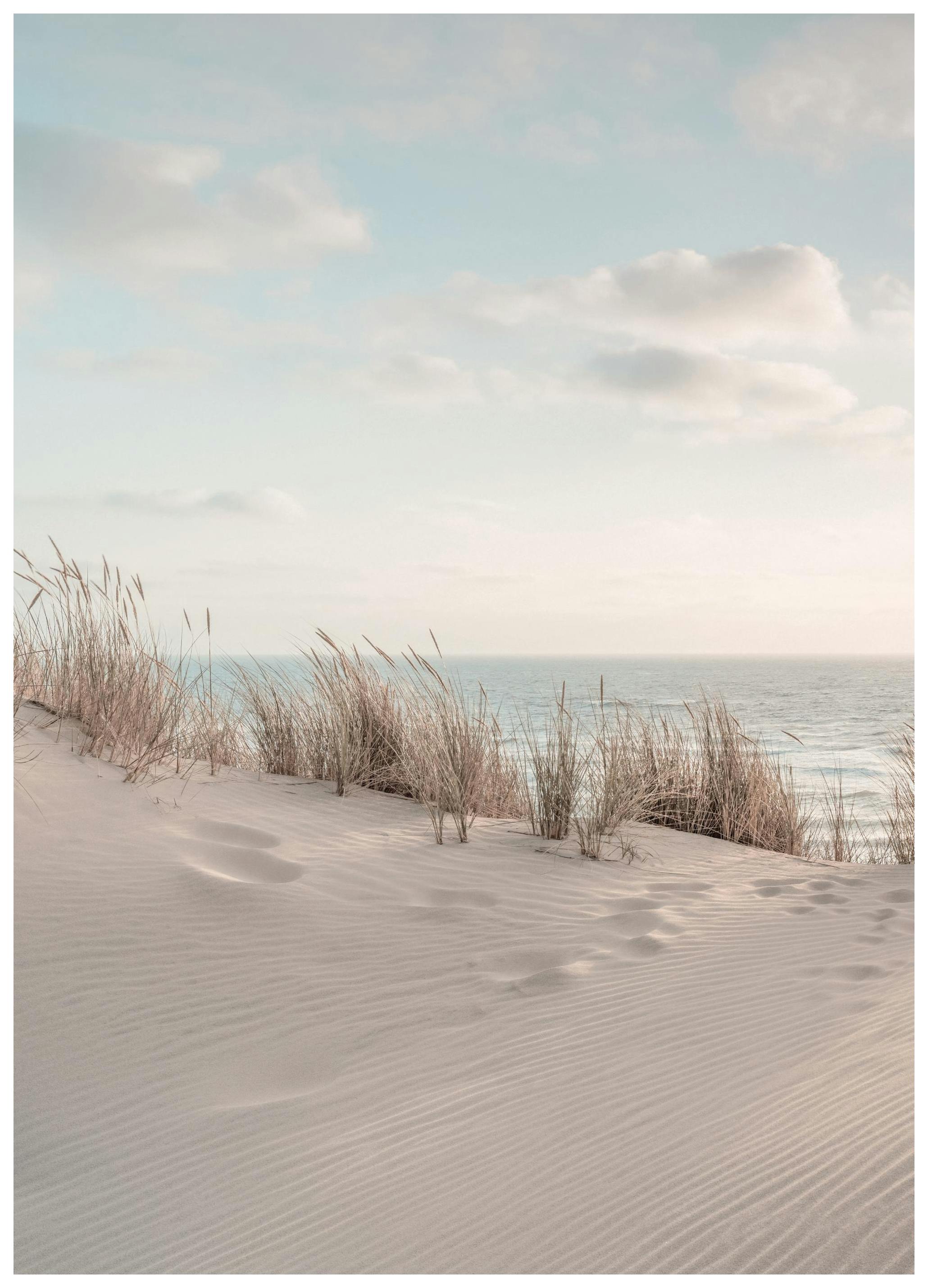 Dune Beach No1 Plakat (30x40 cm)-Plakaty