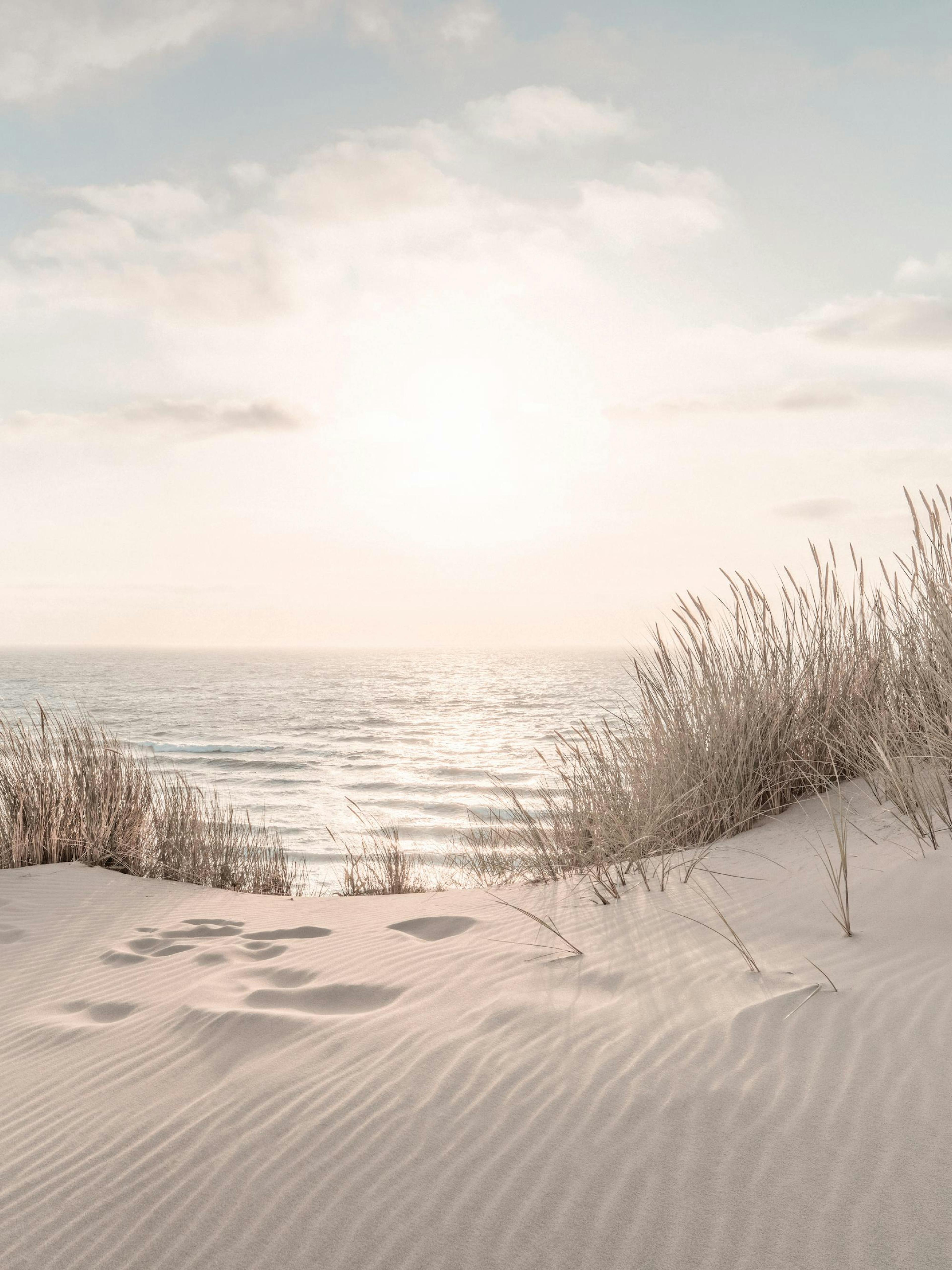 Dune Beach No2 Poster