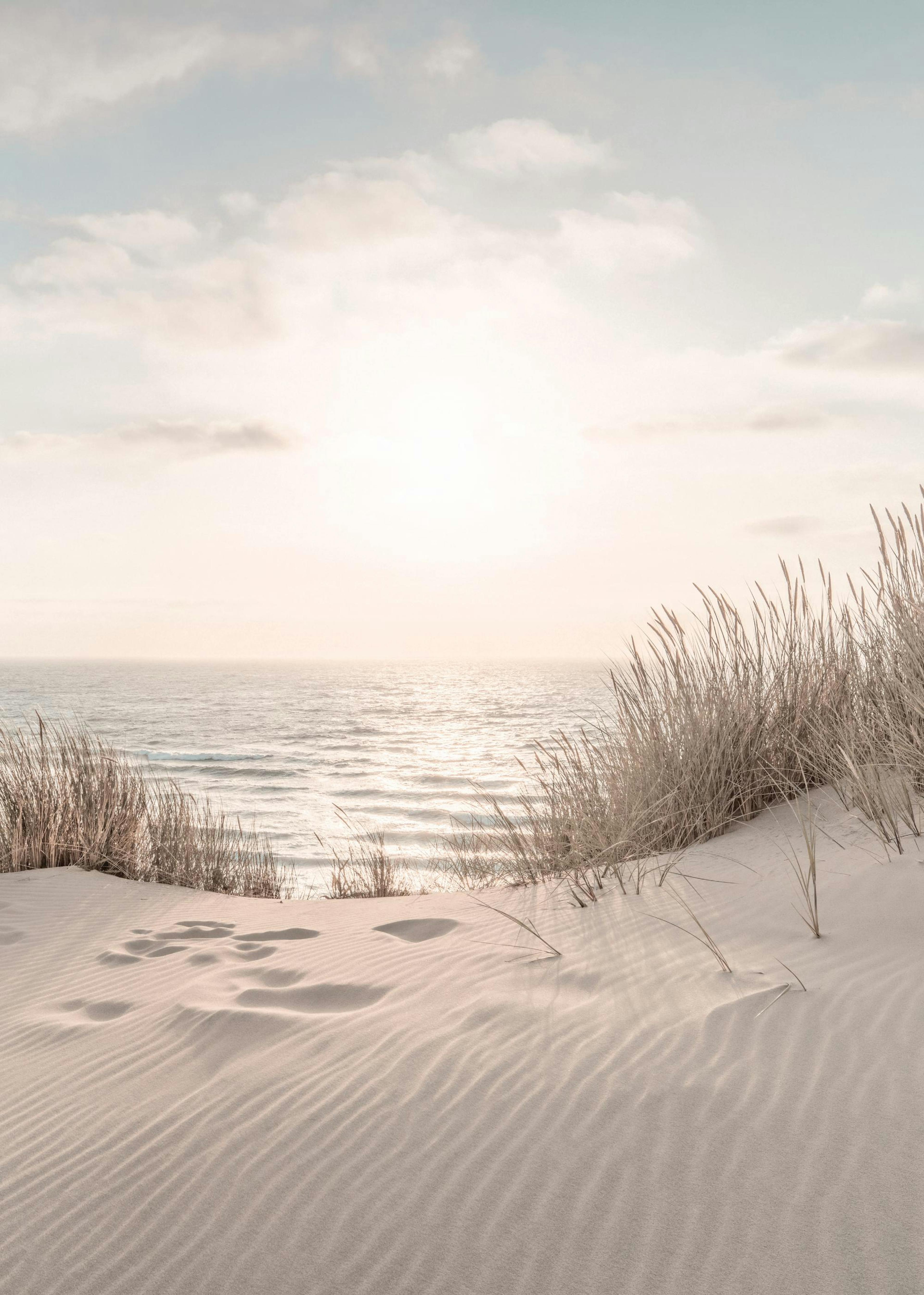 Dune Beach No2 Poster 0