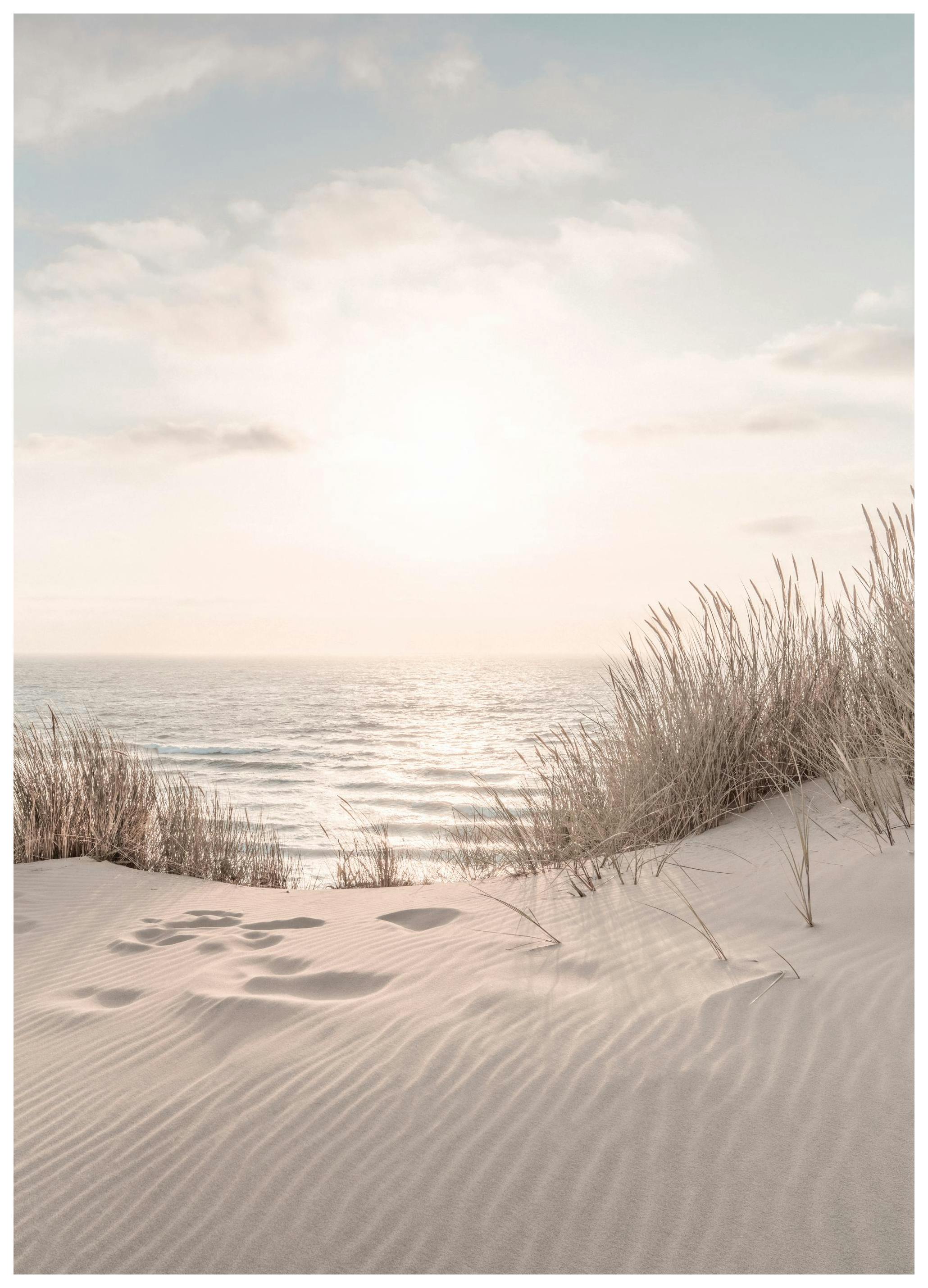 Dune Beach No2 Print (50x70 cm)