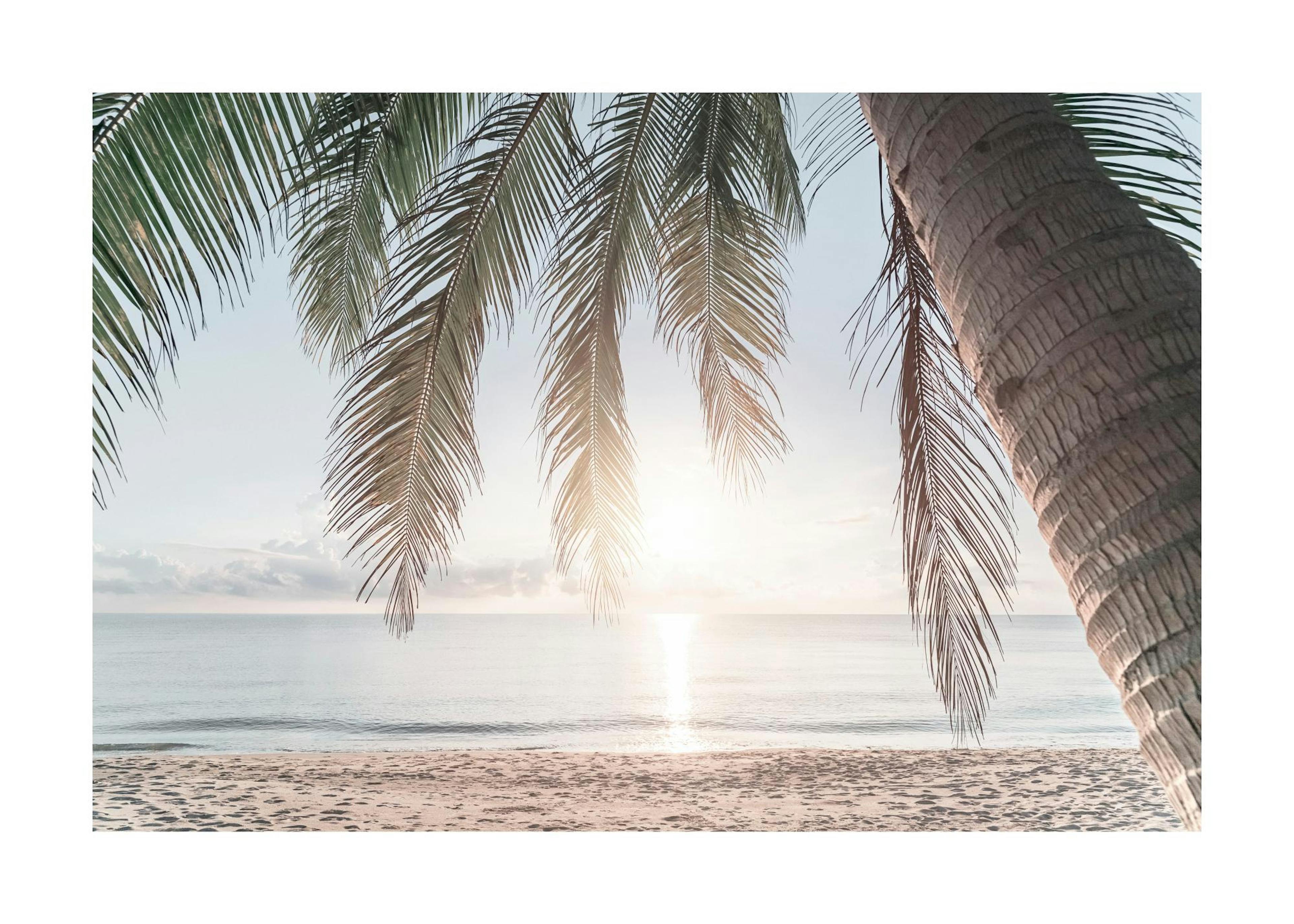 Tropical Beach Sunset Poster 0