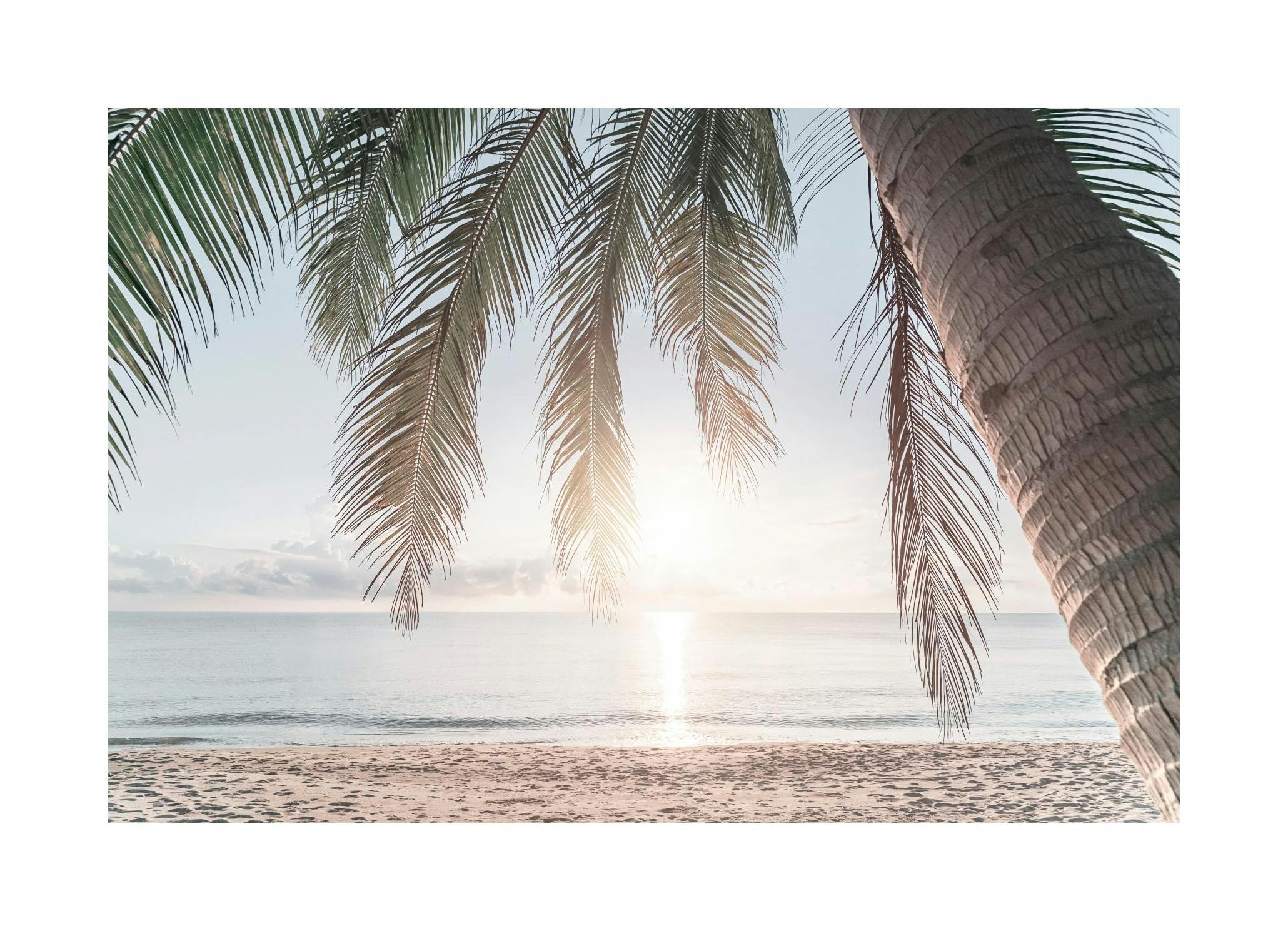 Tropical Beach Sunset Poster (50x70 cm)
