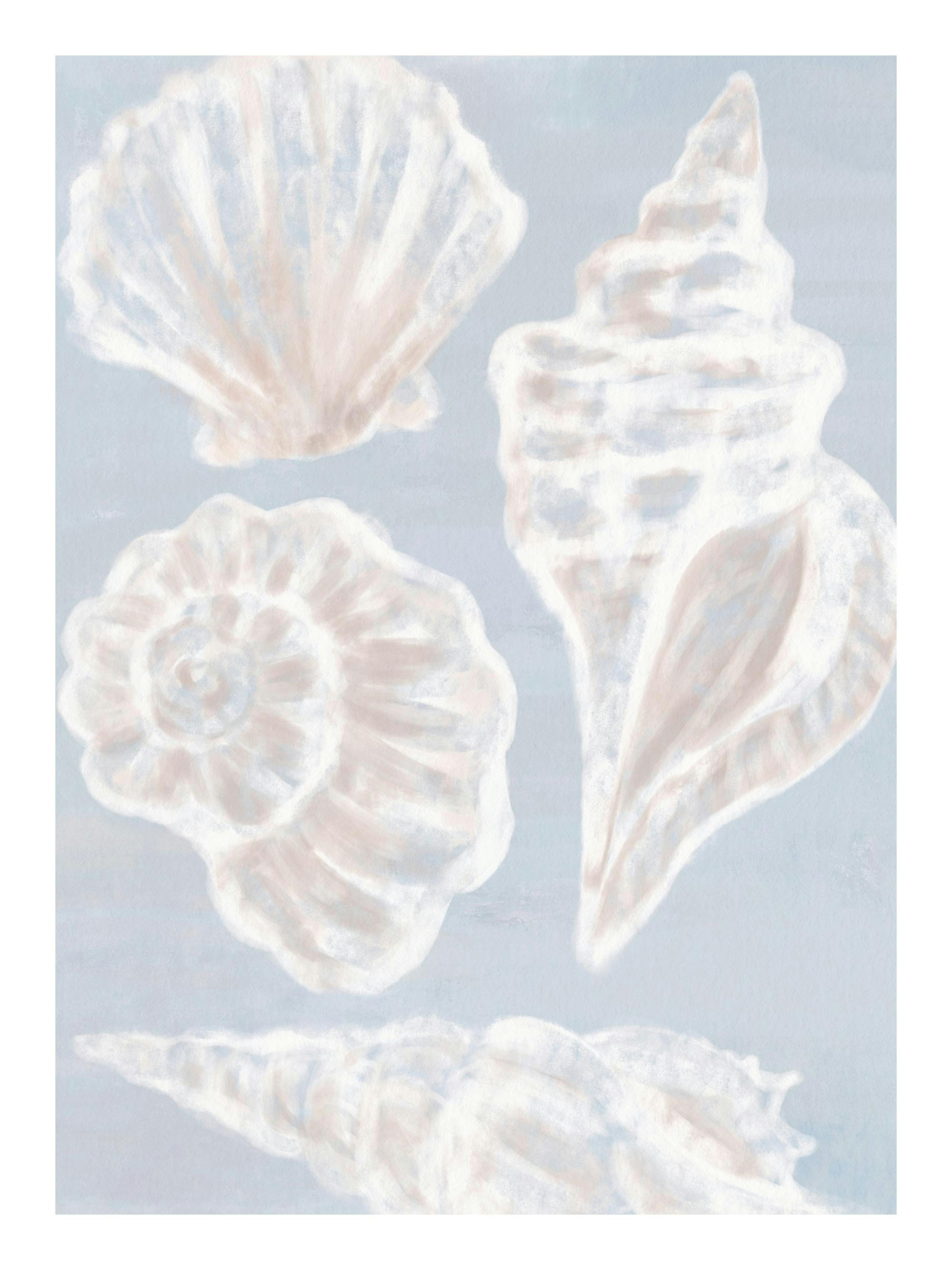 White Shells Print