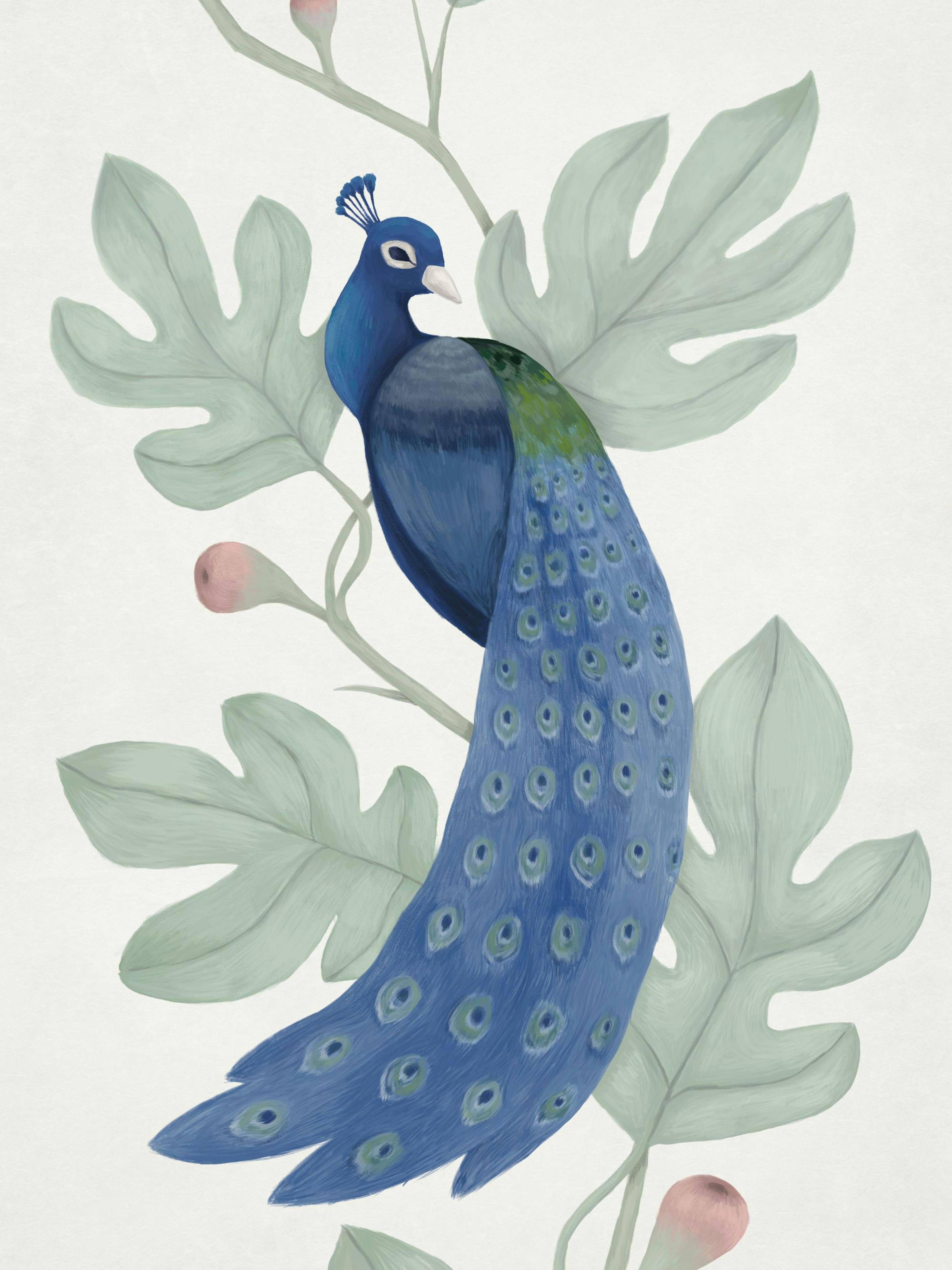 Vintage Blue Peacock Poster