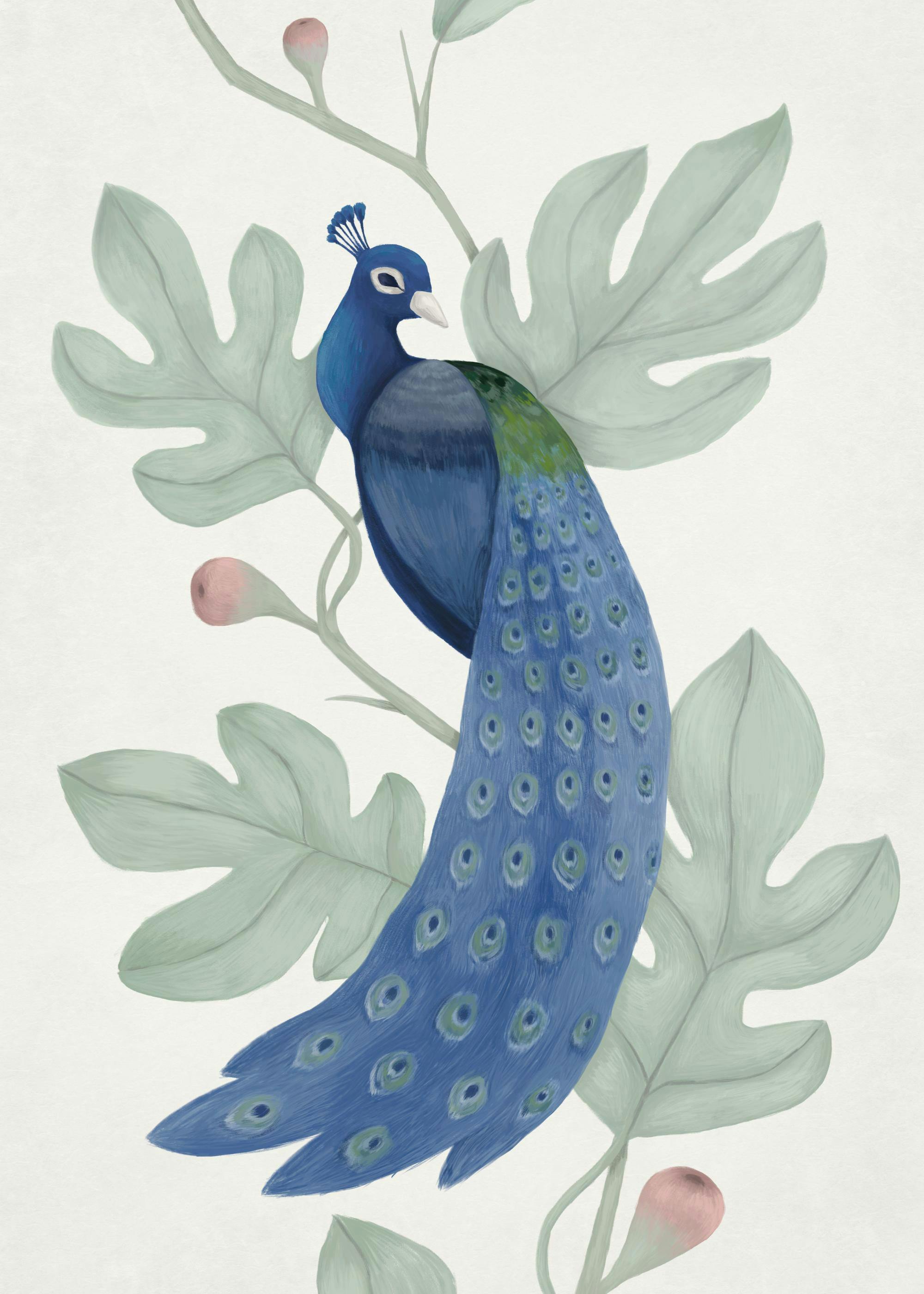 Vintage Blue Peacock Poster 0