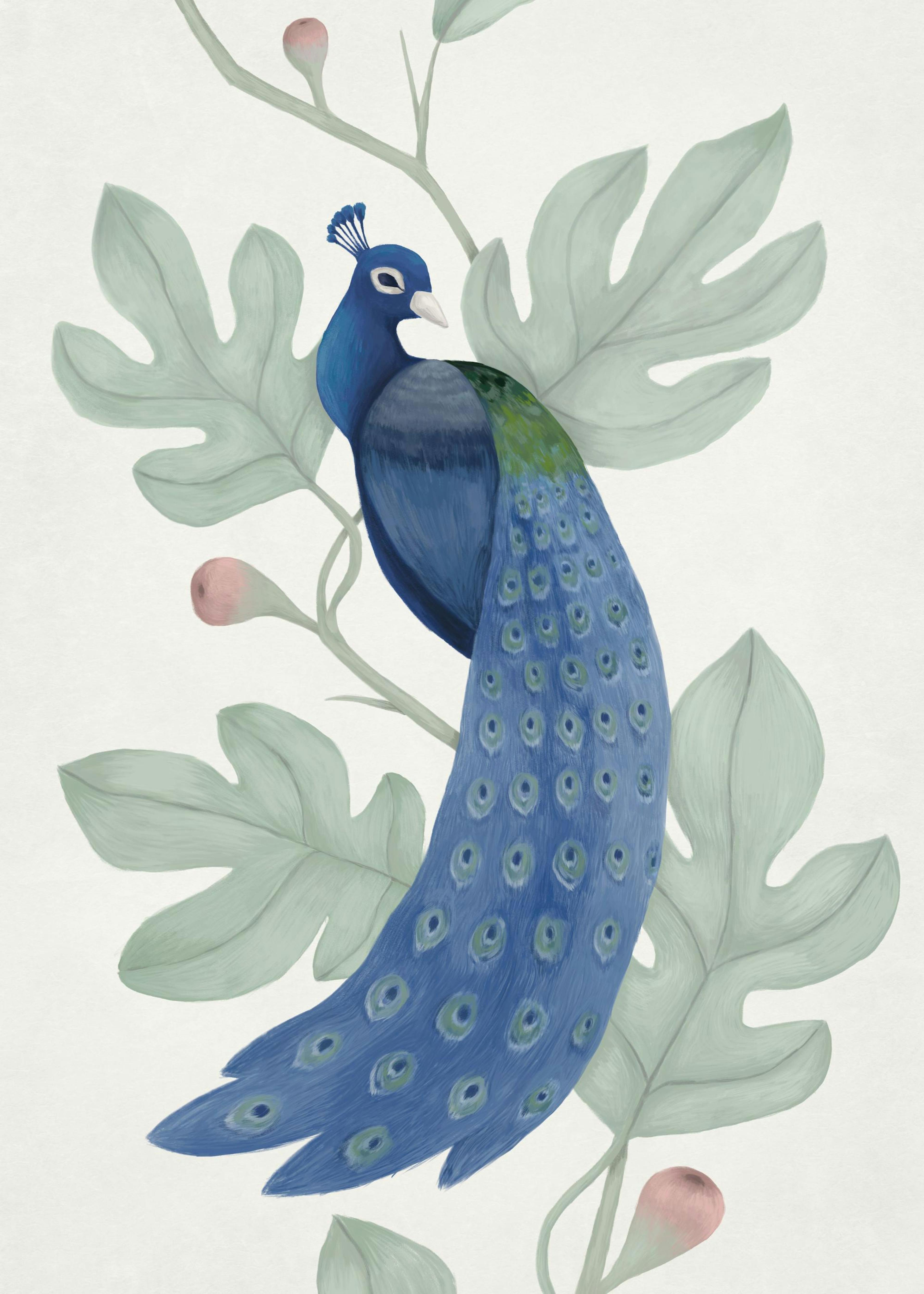 Vintage Blue Peacock Print 0