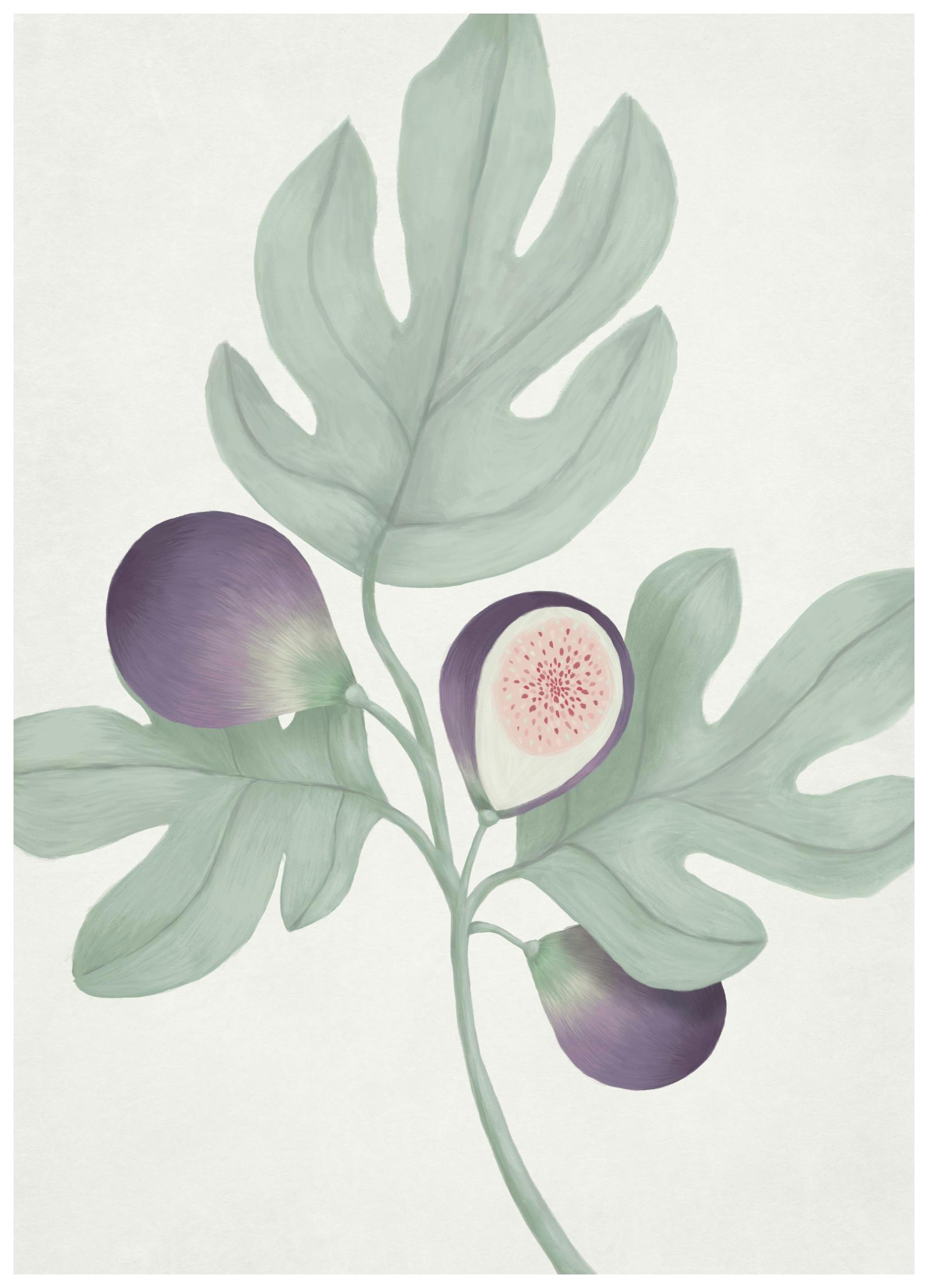 Vintage Green Botanical Poster (50x70 cm)