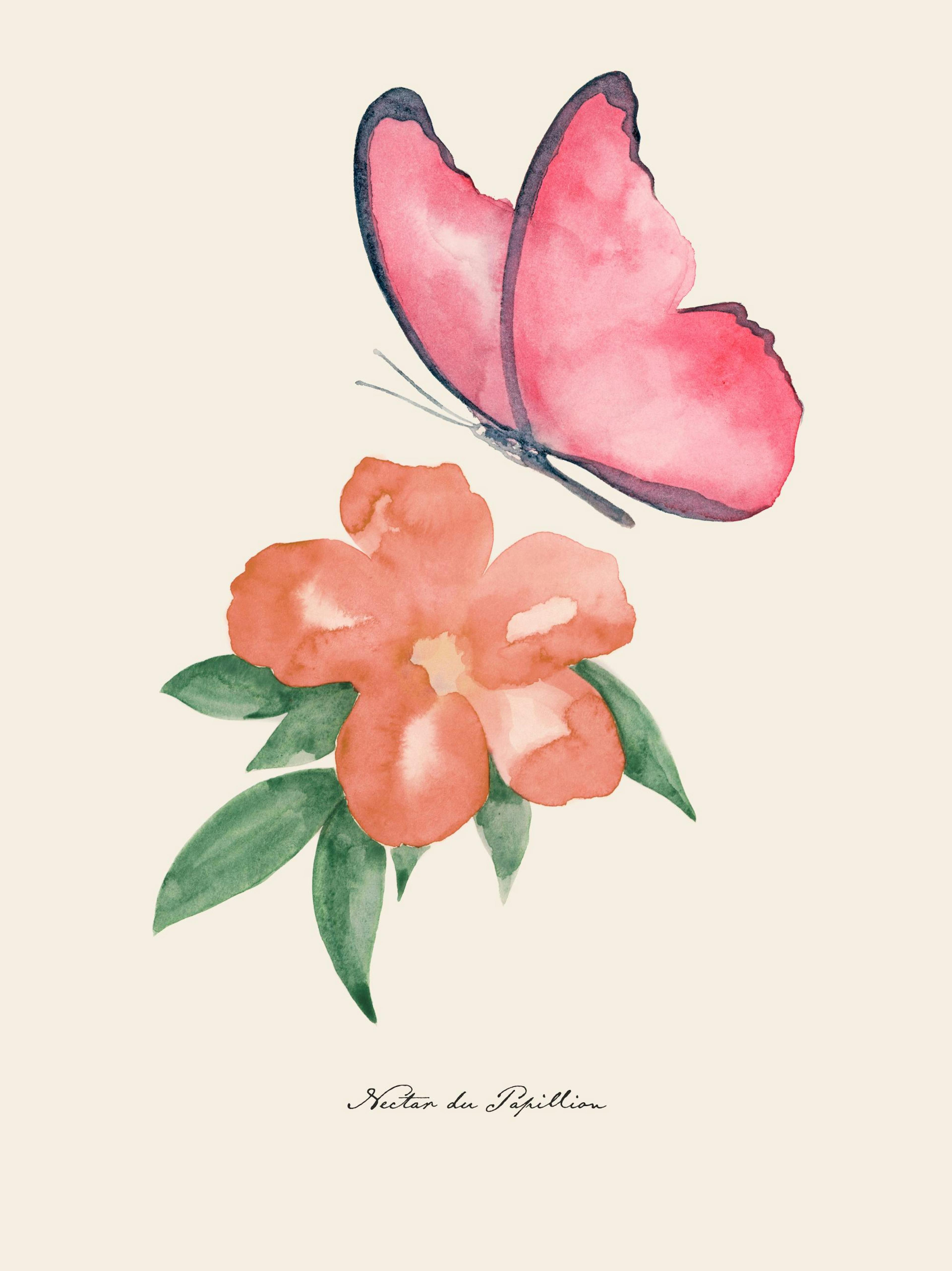 Nectar de Papillon​ Poster