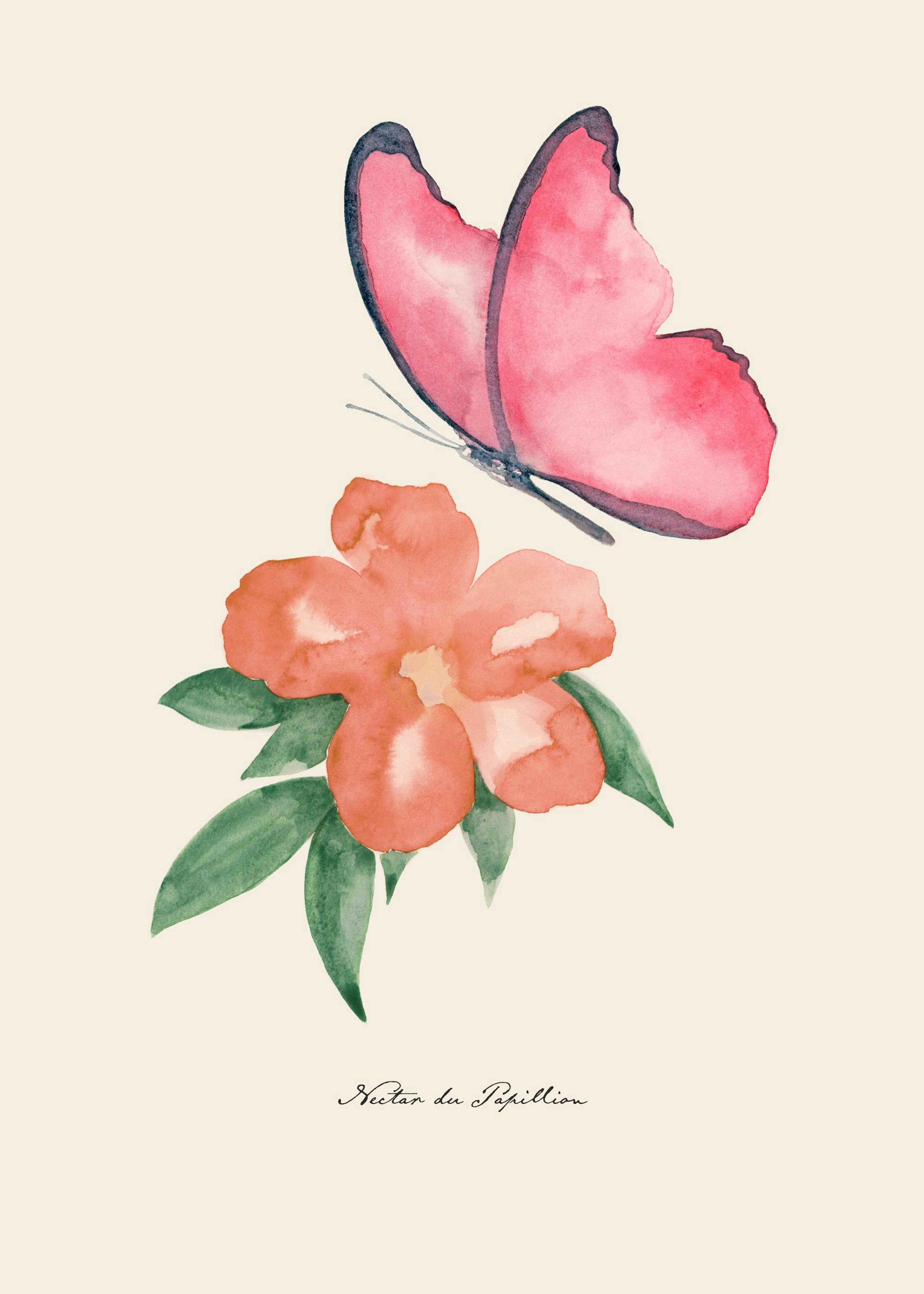 Nectar de Papillon​ Print 0