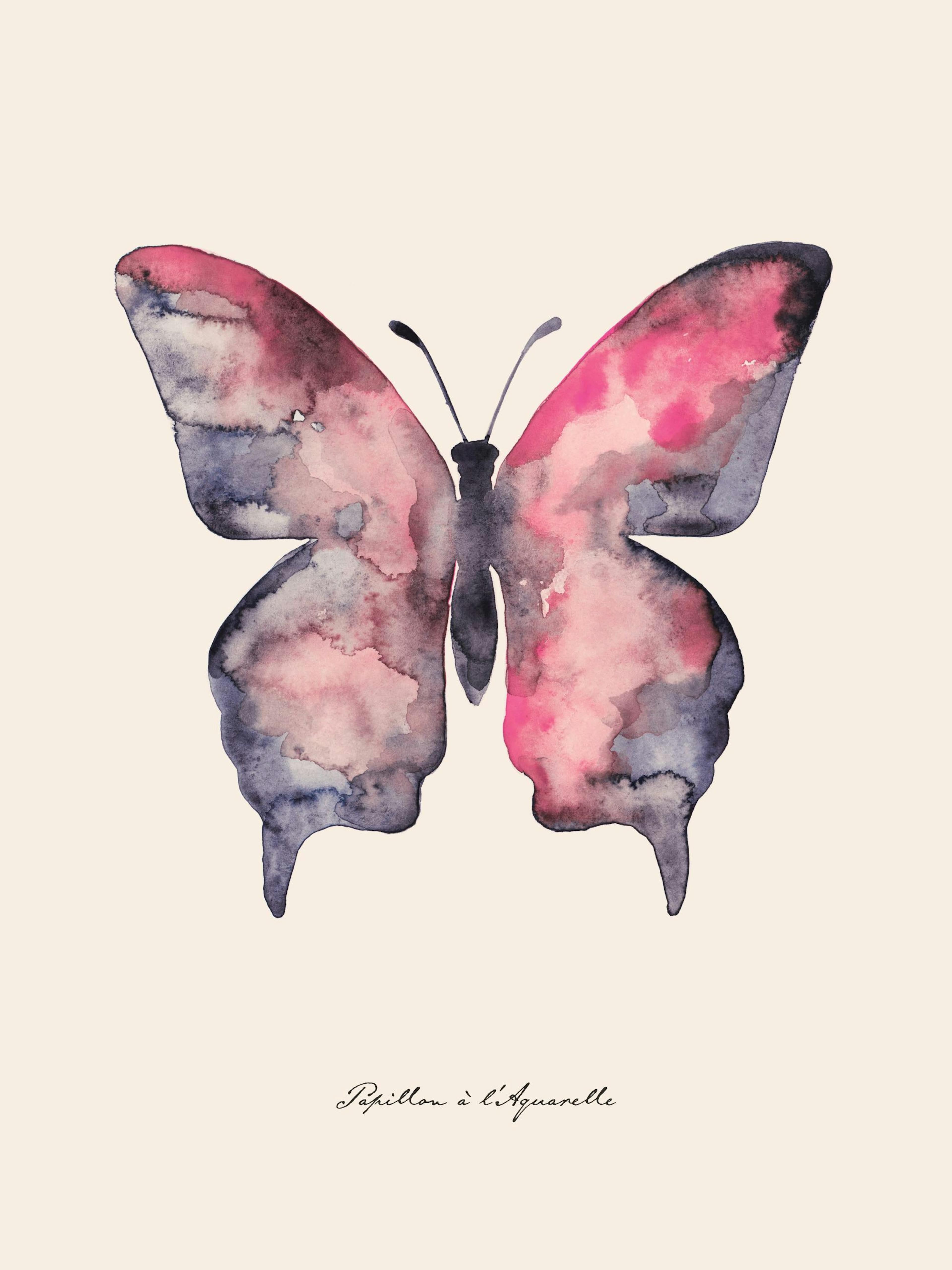 Papillon à l'Aquarelle Poster