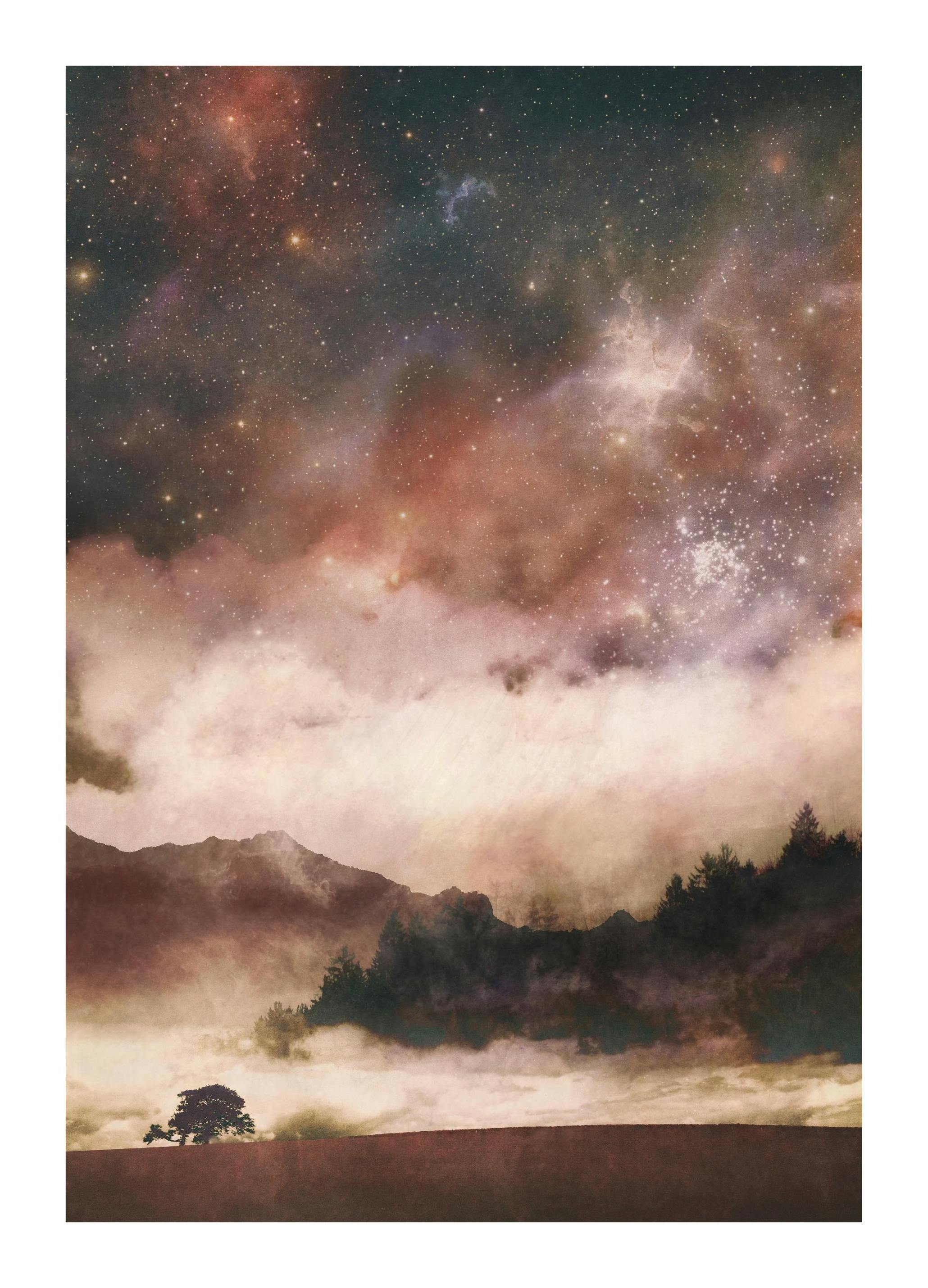SpaceFrog Designs - Stellar Plakat (50x50 cm)- SpaceFrog Designs
