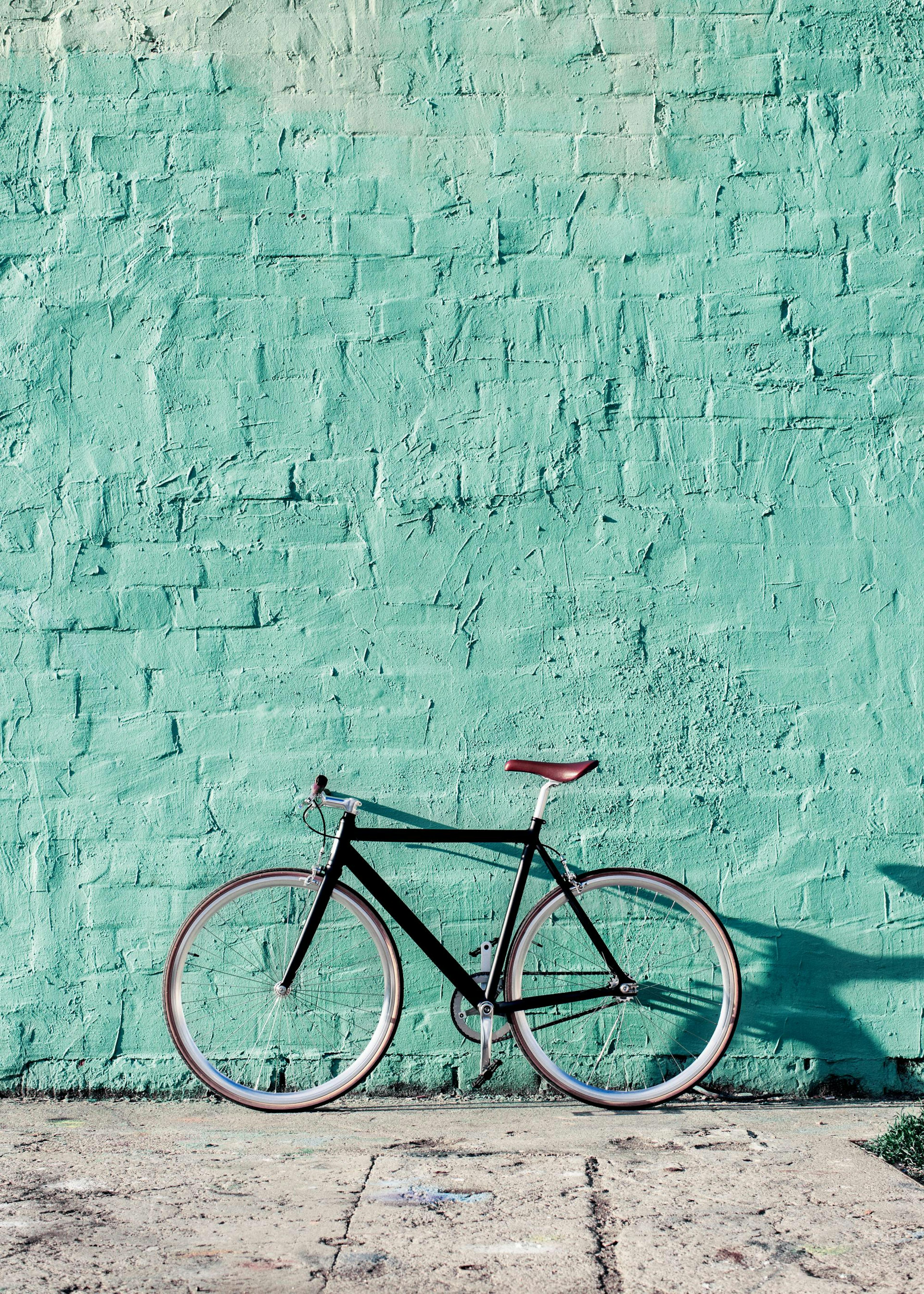 Mint Bike Print 0