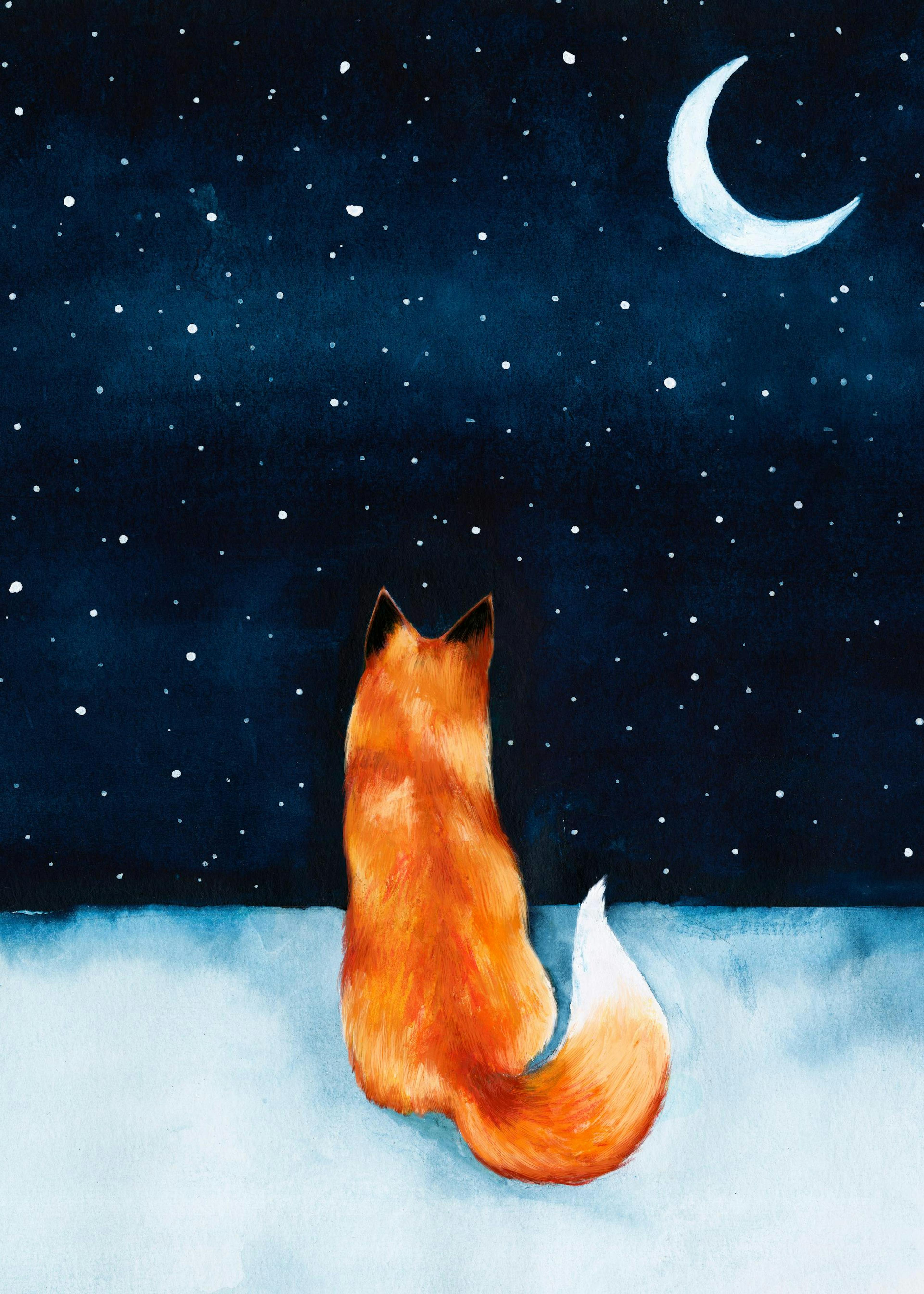 Night Fox Print 0