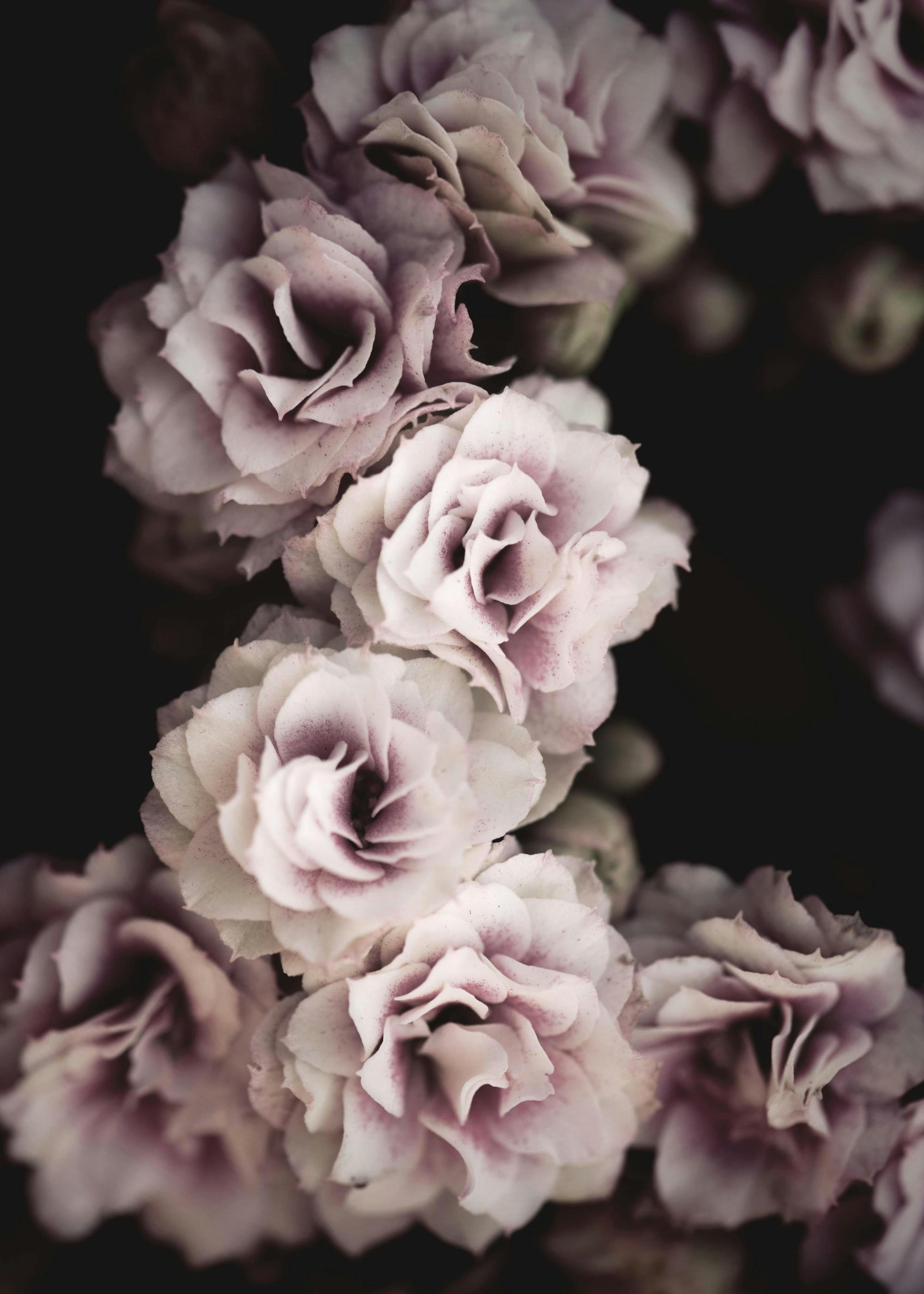 Bouquet De Fleurs Affiche 0