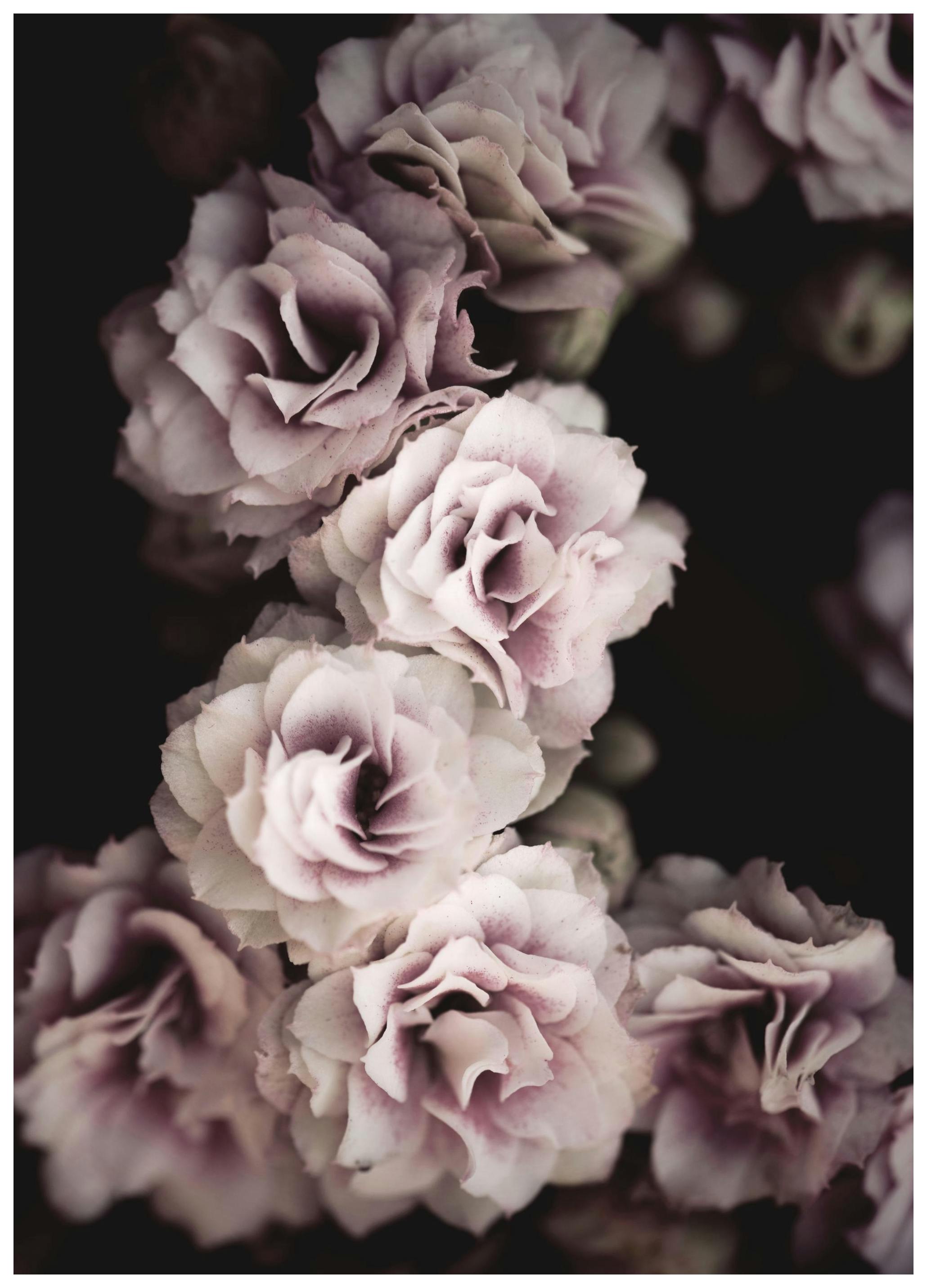 Bouquet De Fleurs Poster (50x70 cm) -  Poster mit Blumenmotiven