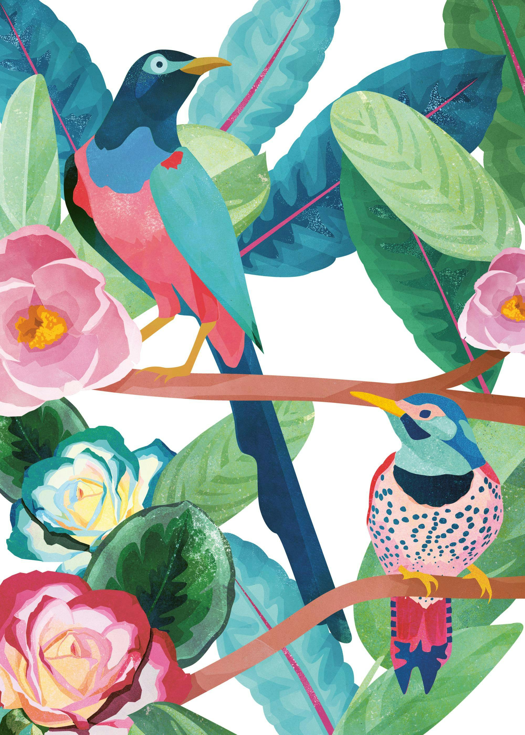 Birds of Paradise Poster 0