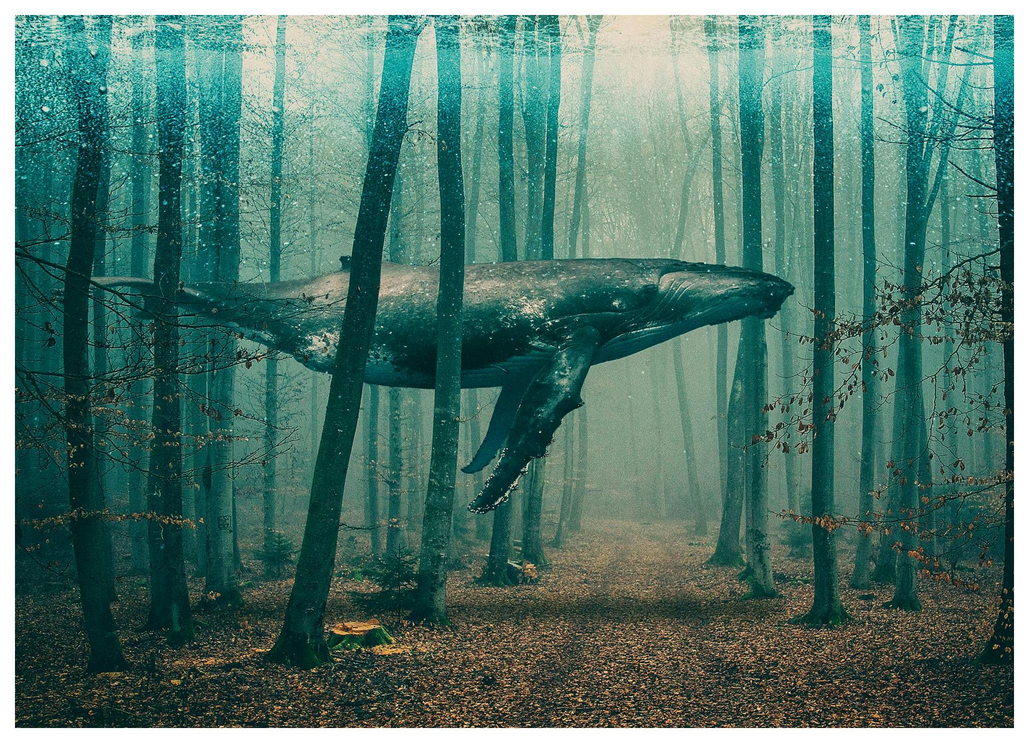 Whale in Forest Poster (70x100 cm) - Natuur posters