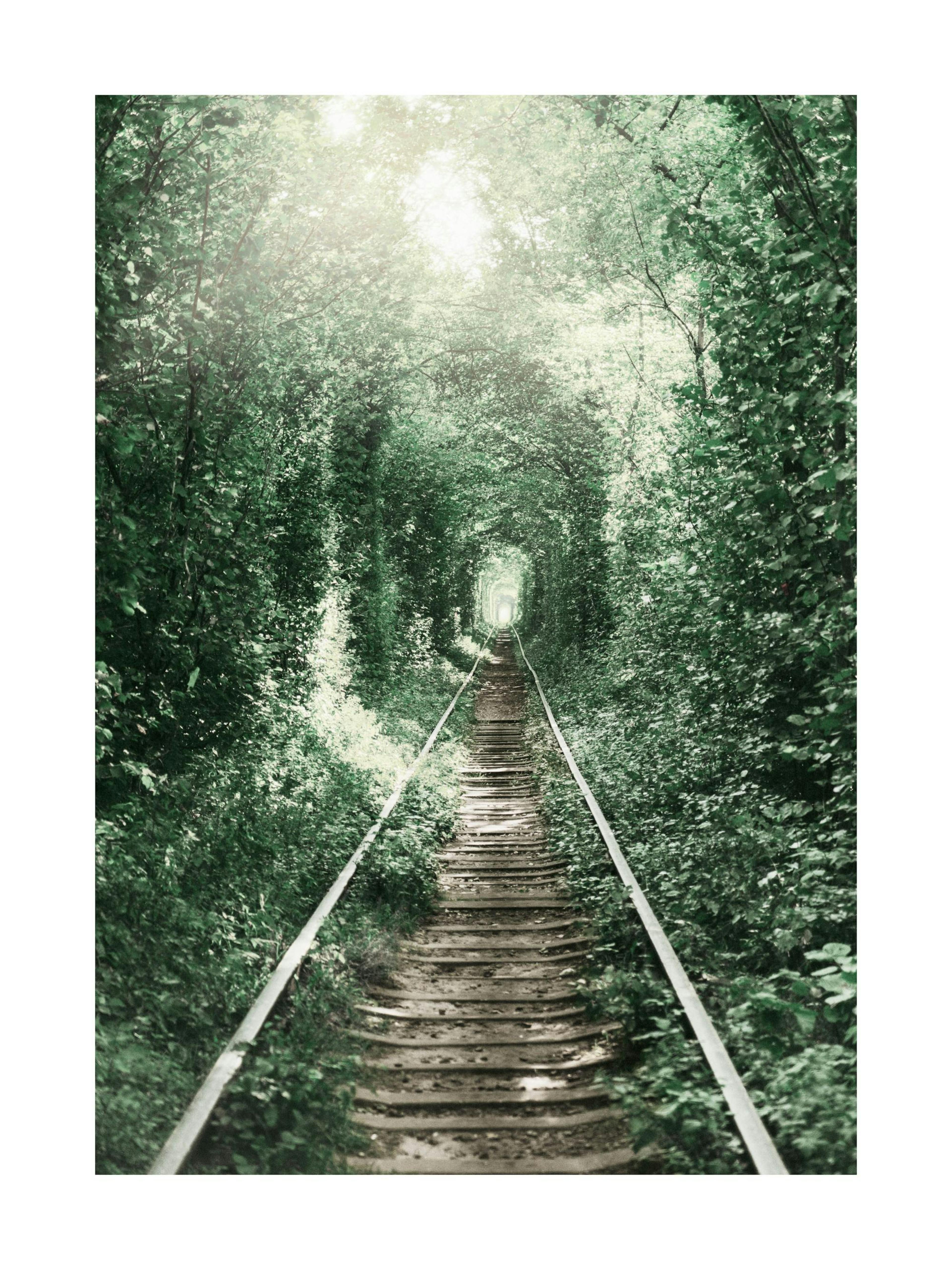 Forest Tunnel Affiche