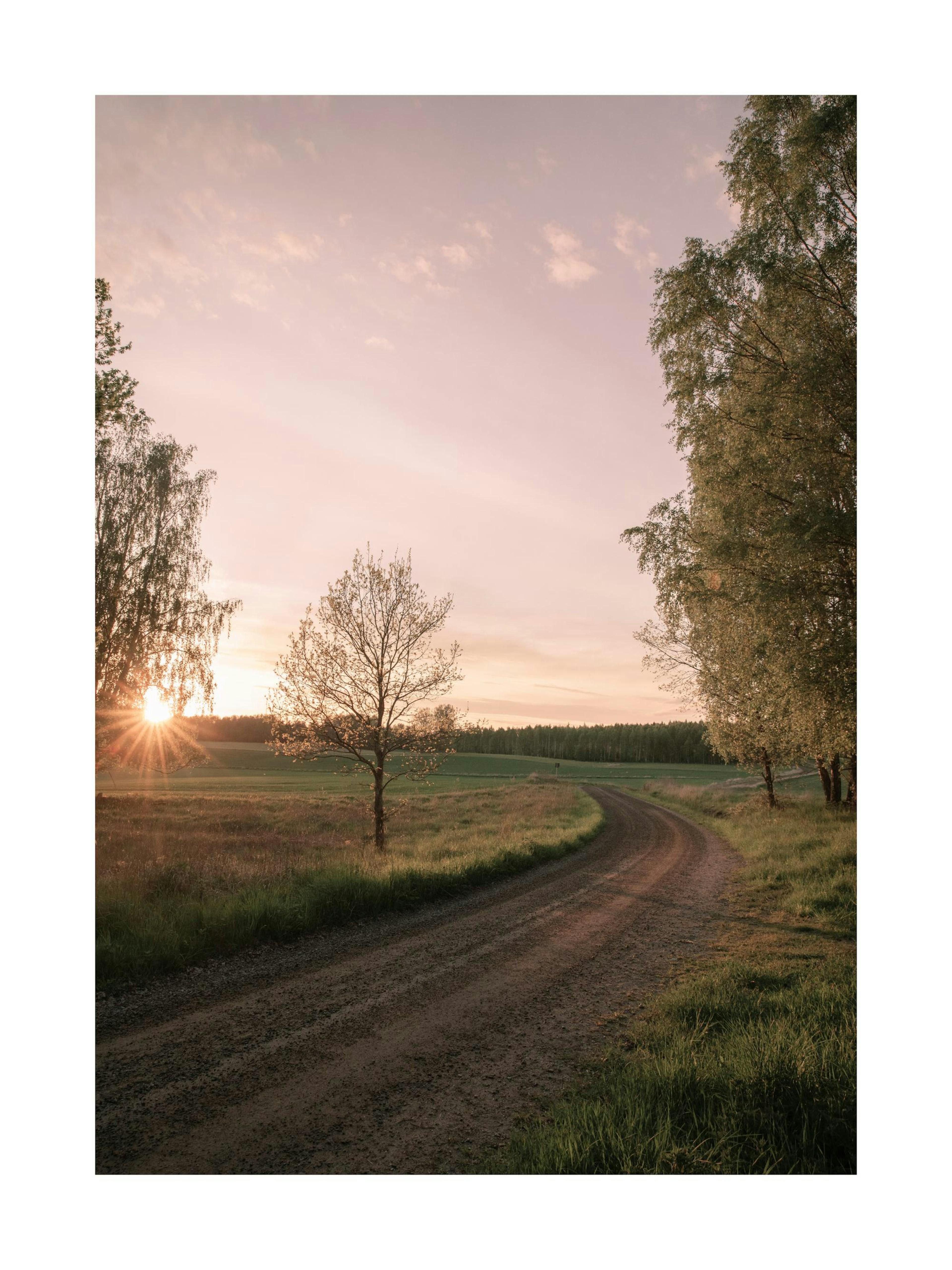 Sunset Road Print