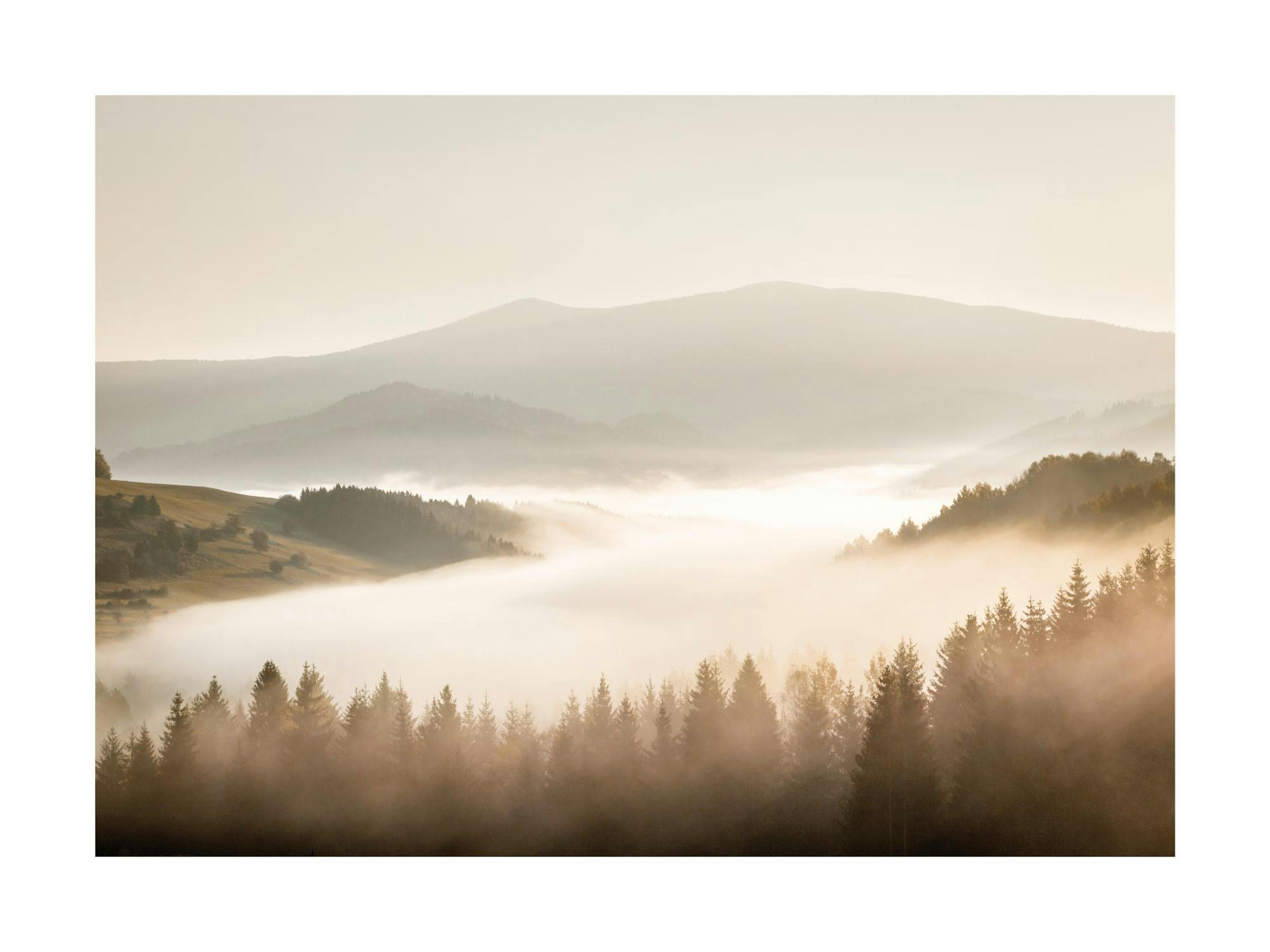 Misty Landscape Print 0