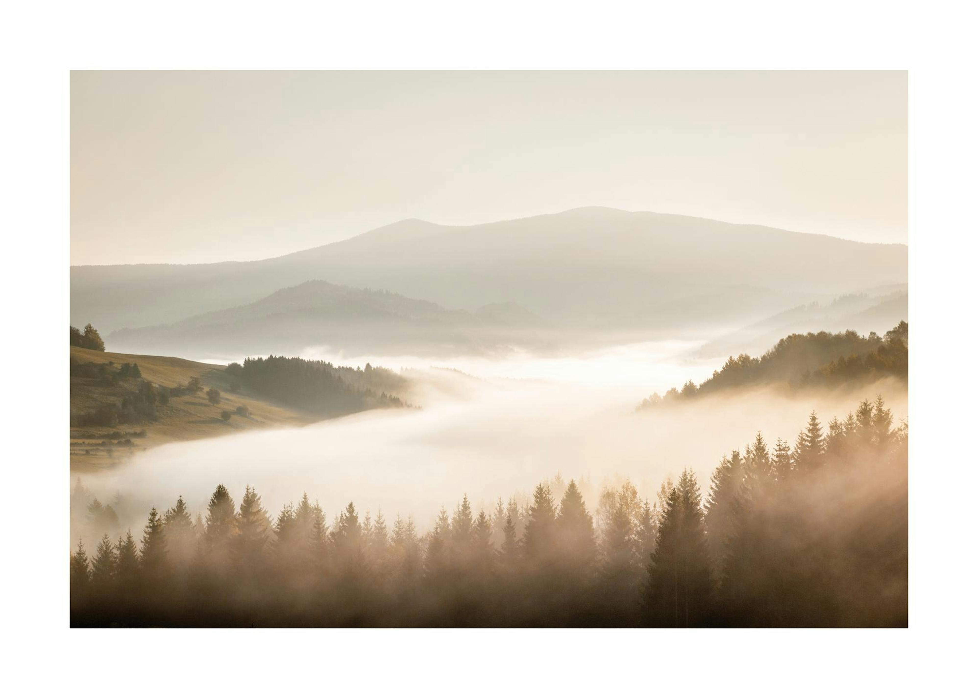 Misty Landscape Print 0