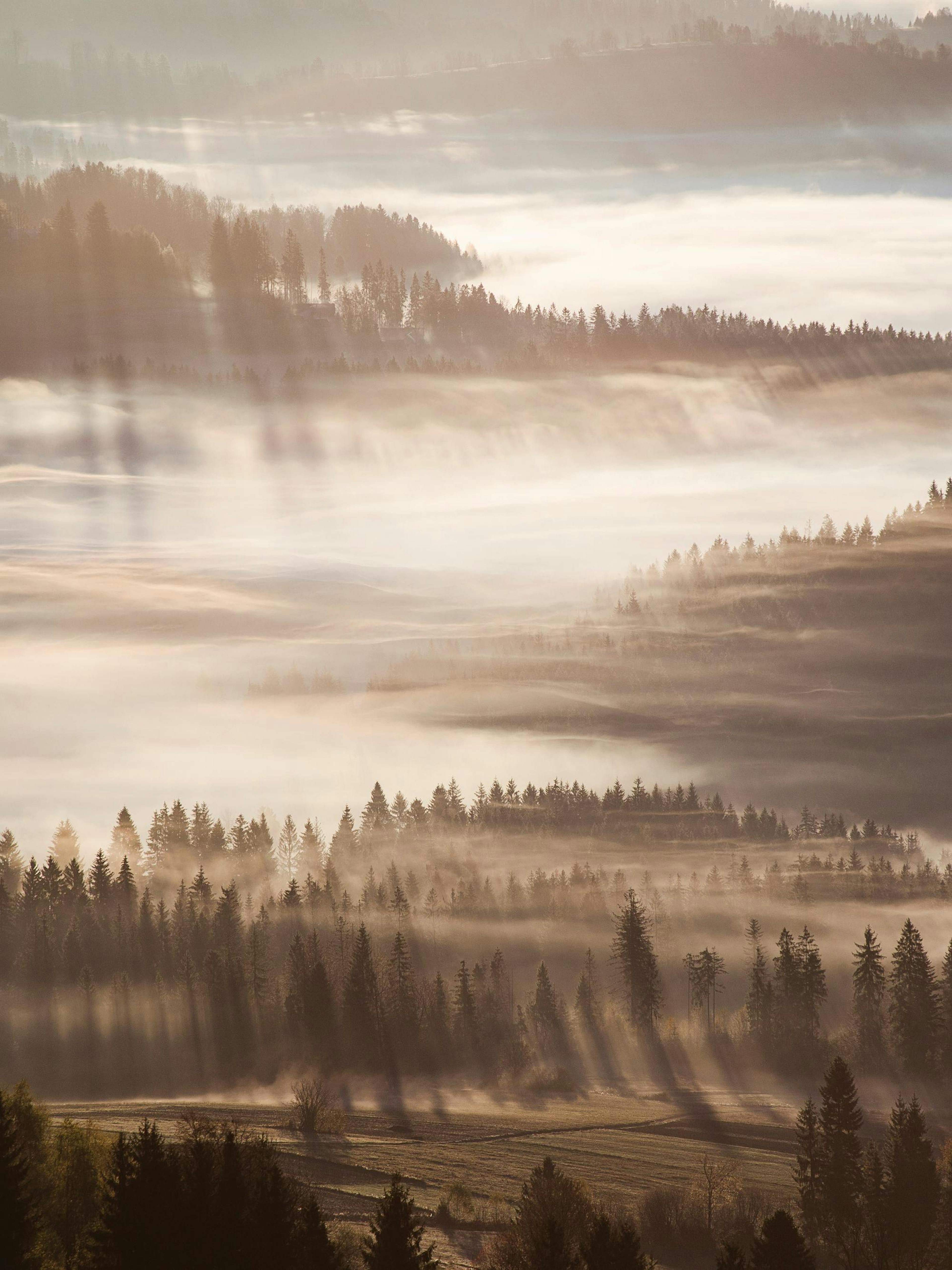 Sun Rays Through Mist Print