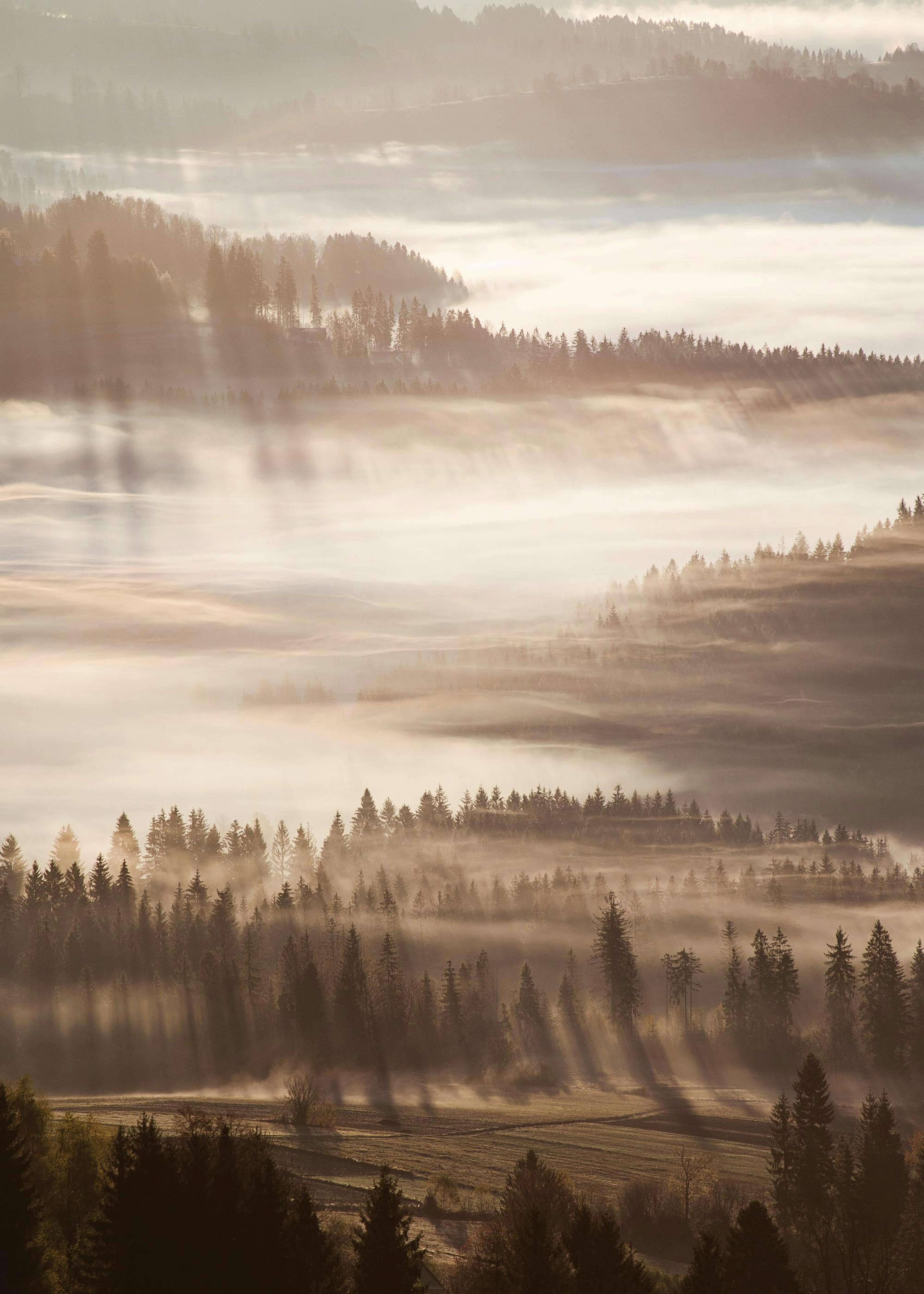 Sun Rays Through Mist Print 0