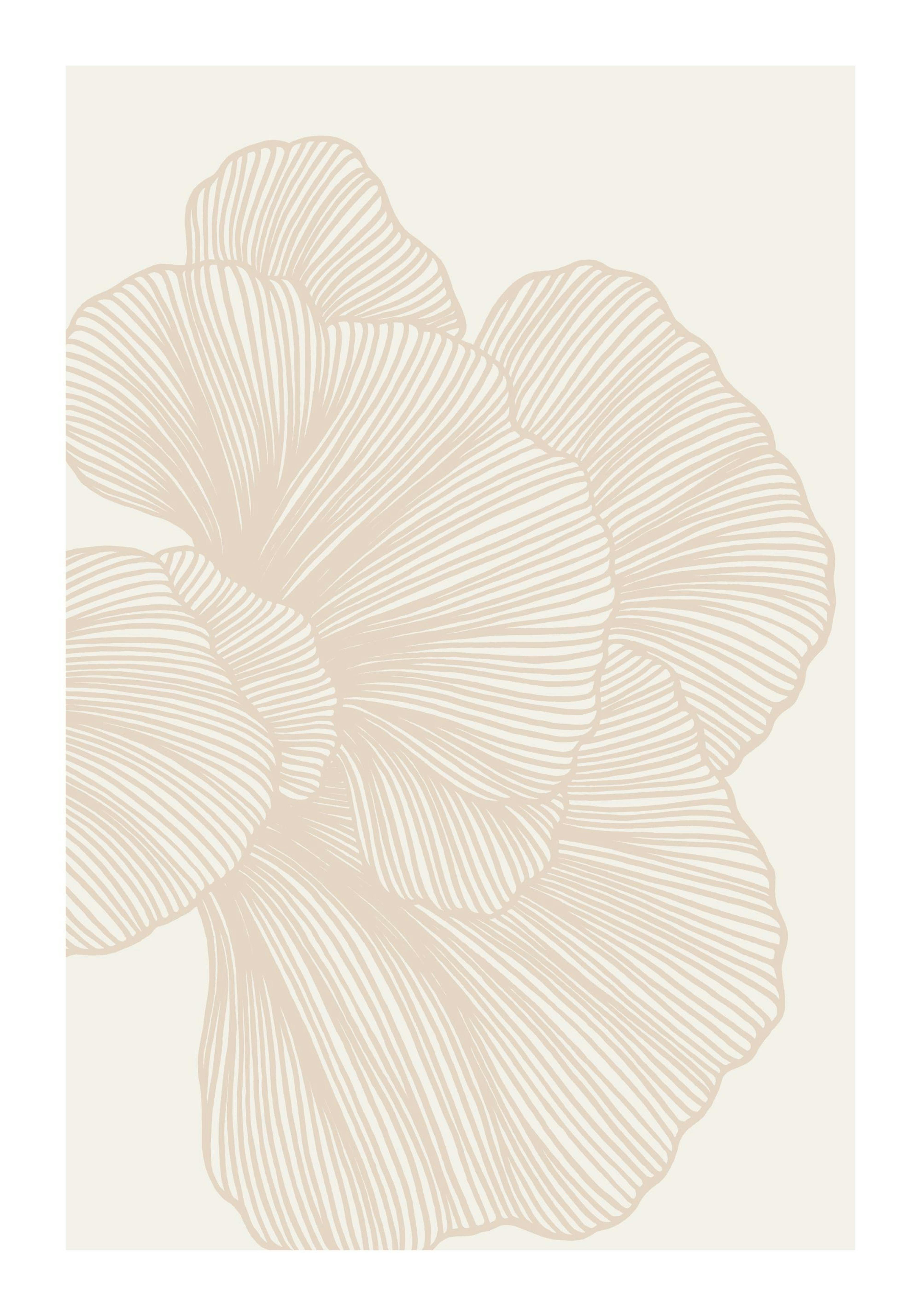 Abstract Lines No2 Print 0