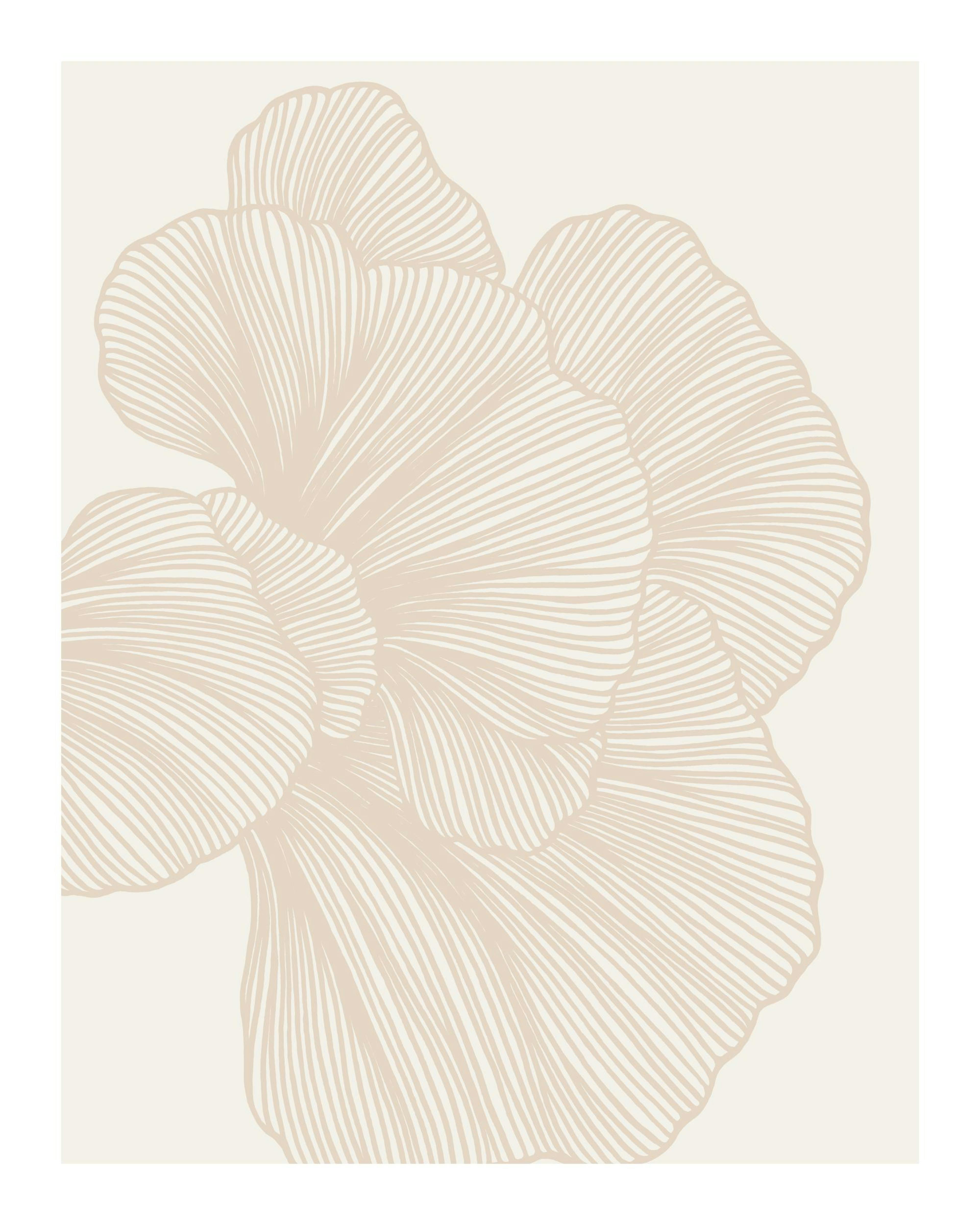 Abstract Lines No2 Print 0