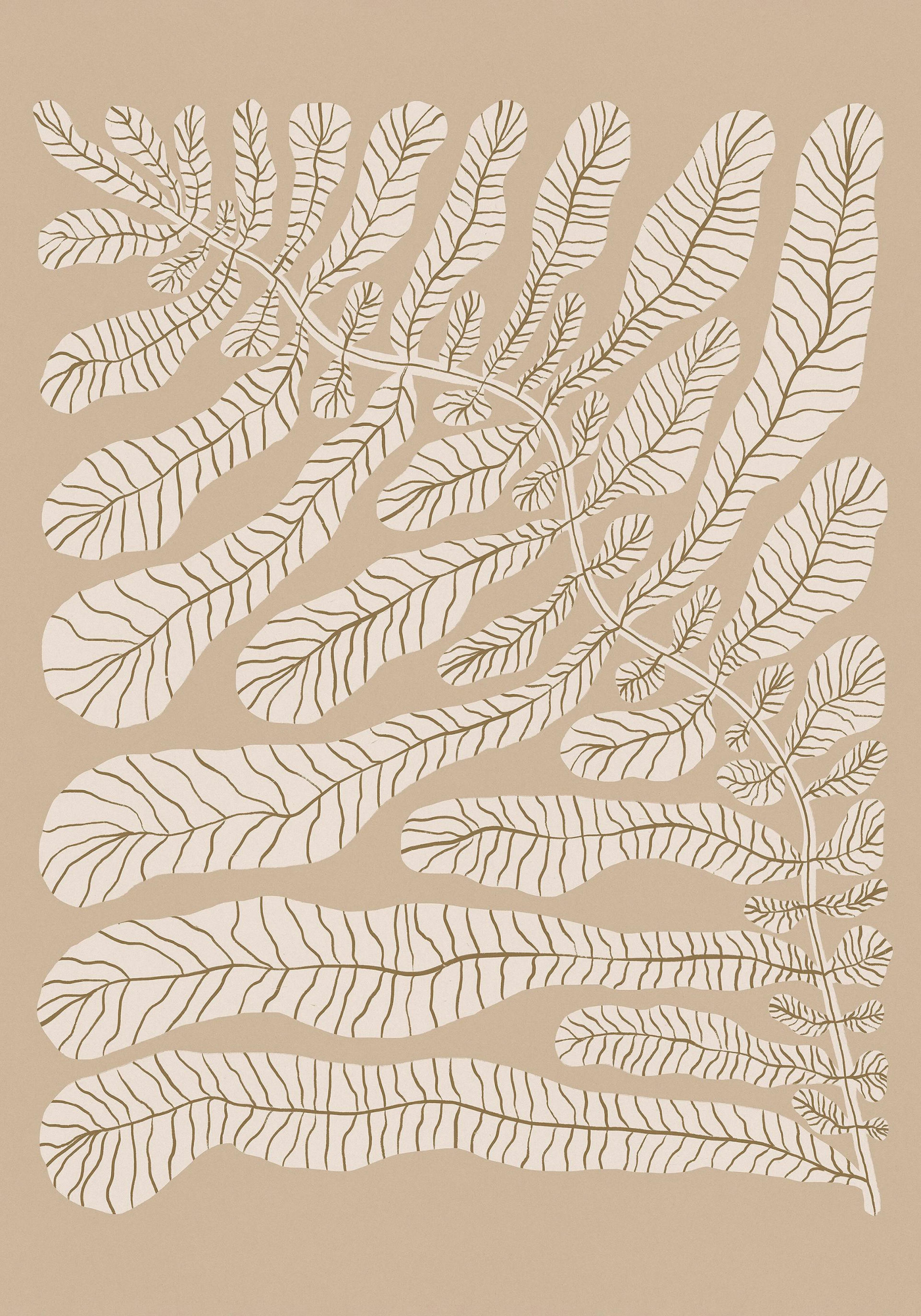 One Hundred - Leaved Plant No2 Print