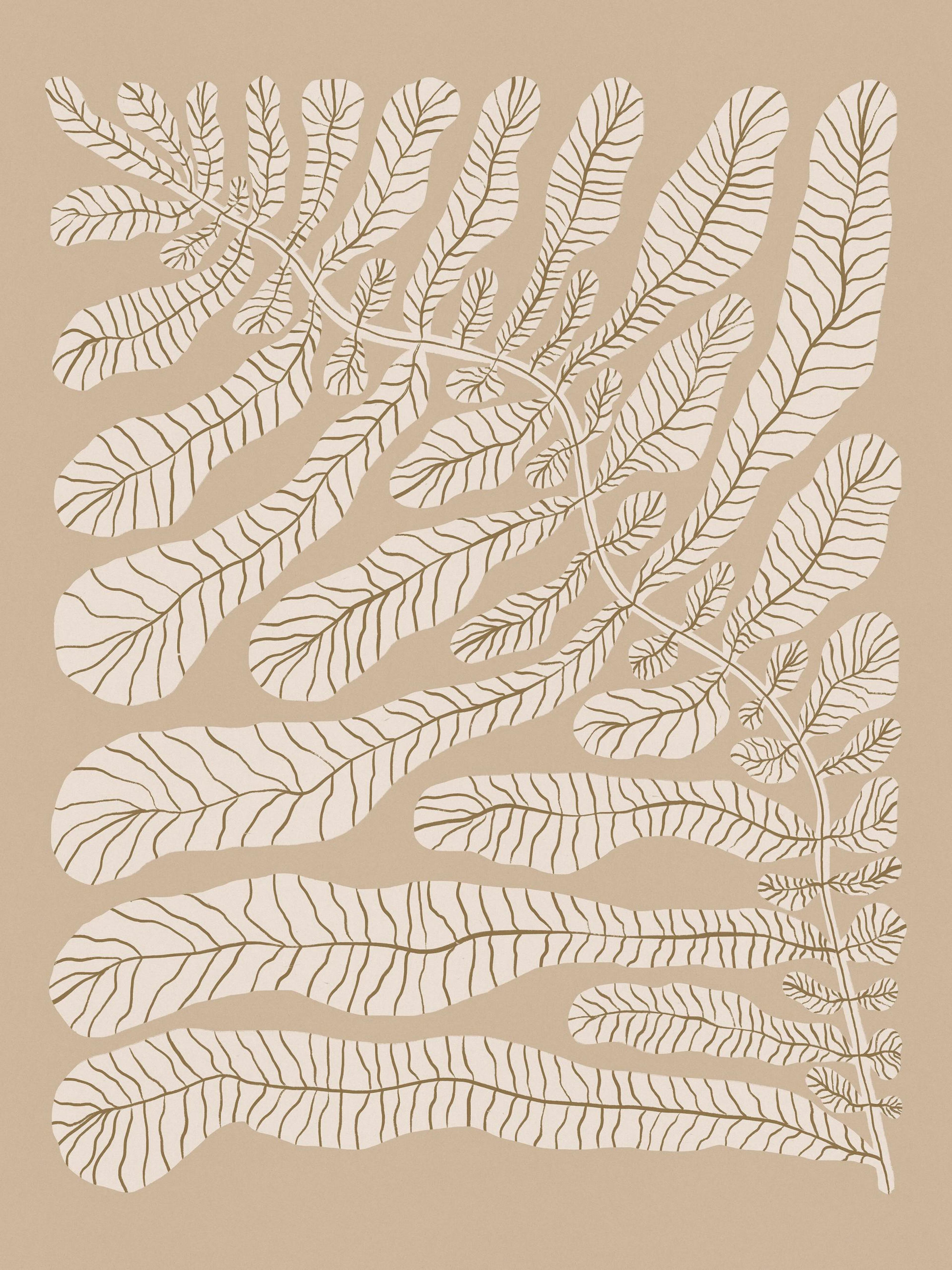 Product image: 1