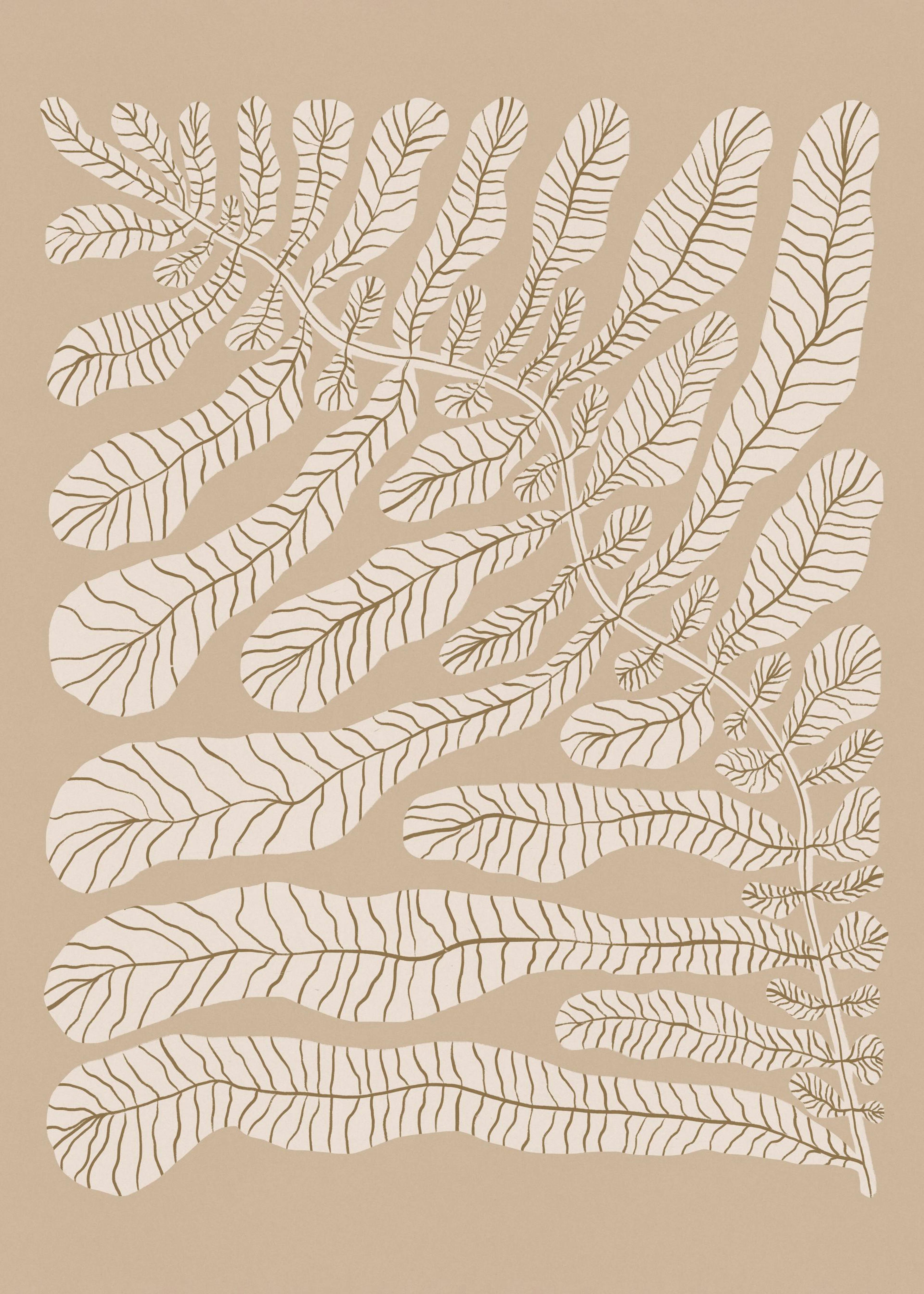 One Hundred - Leaved Plant No2 Poster 0