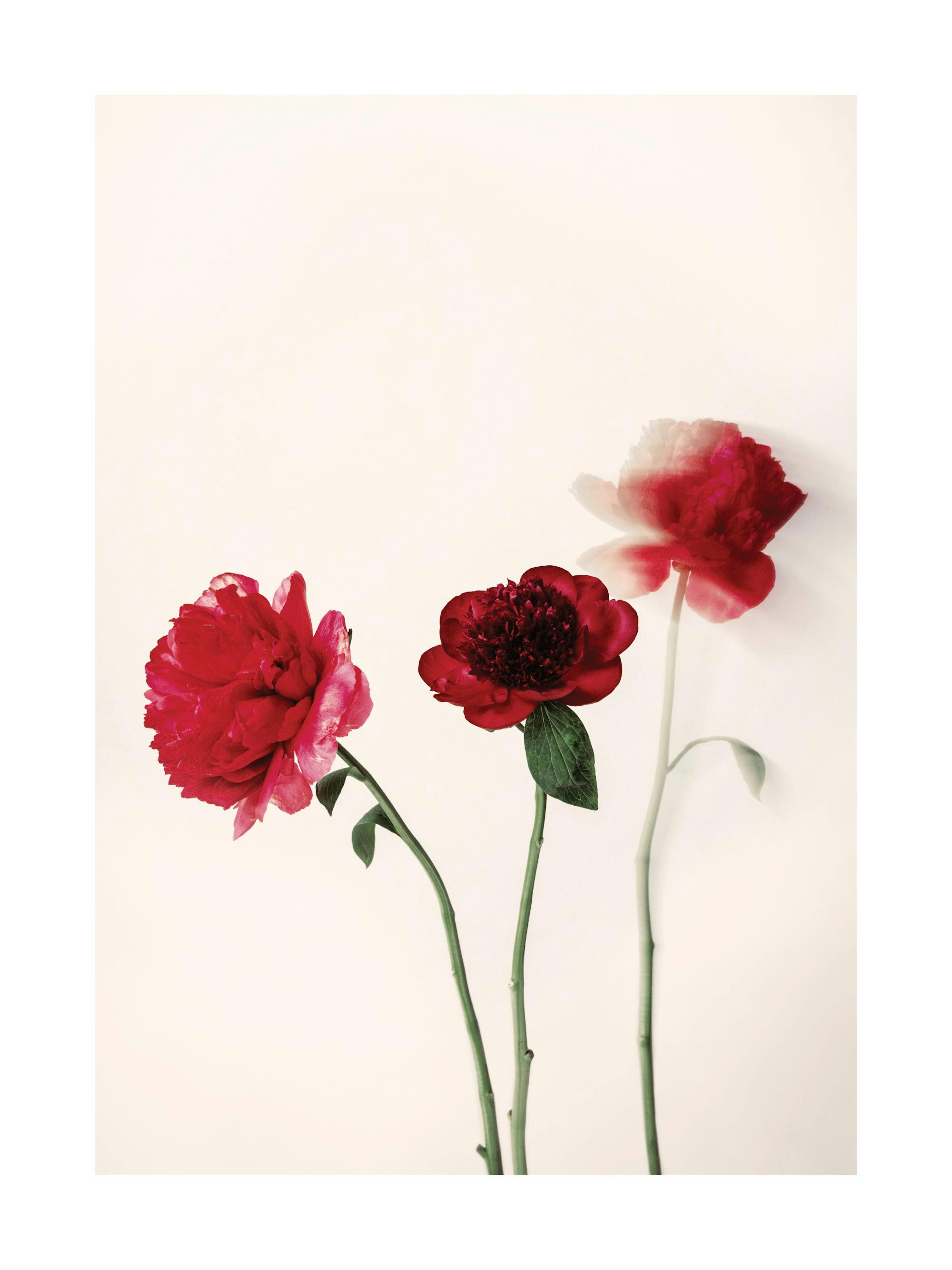 Product image: 1