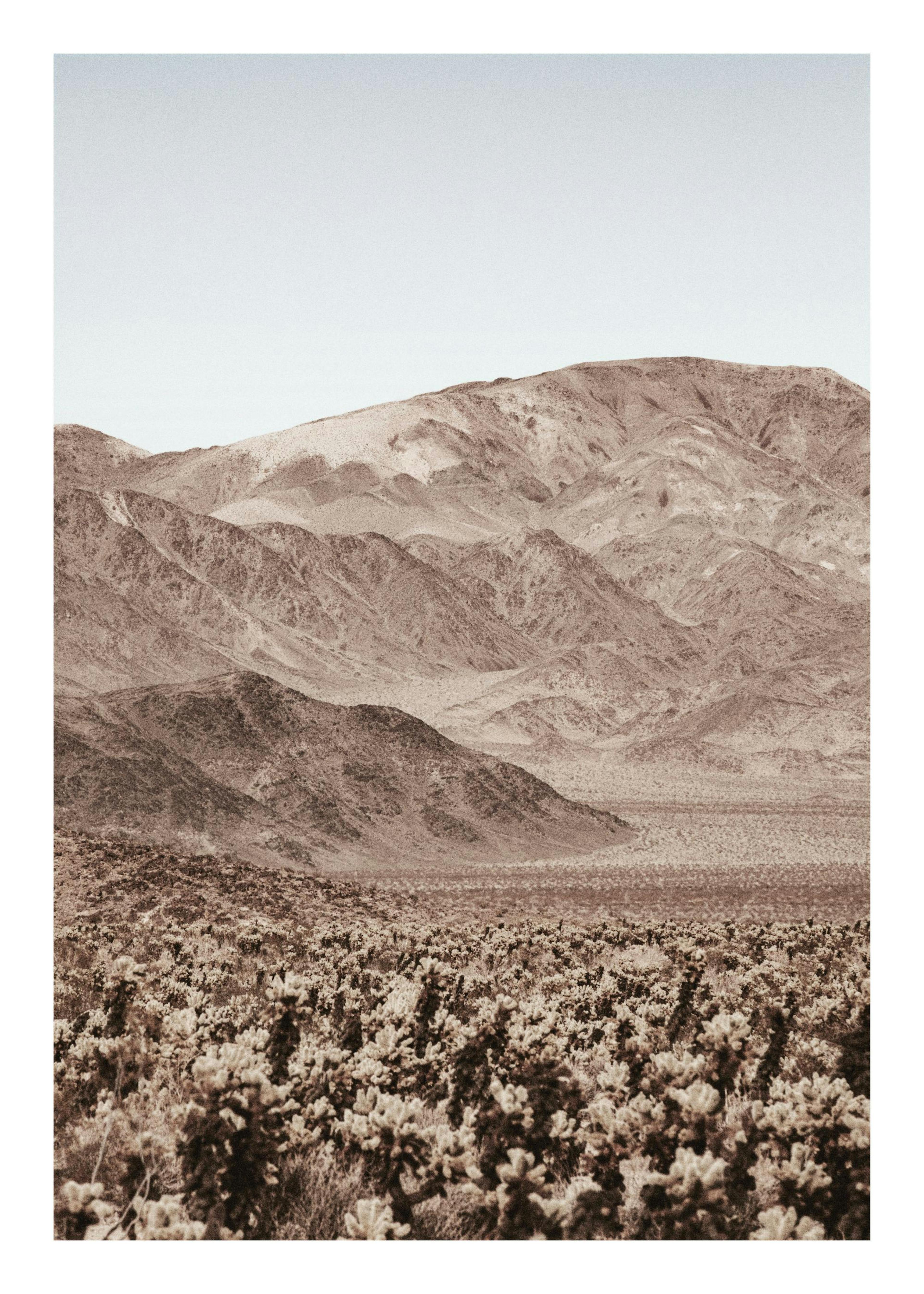 Rocky Mountains Poster 0