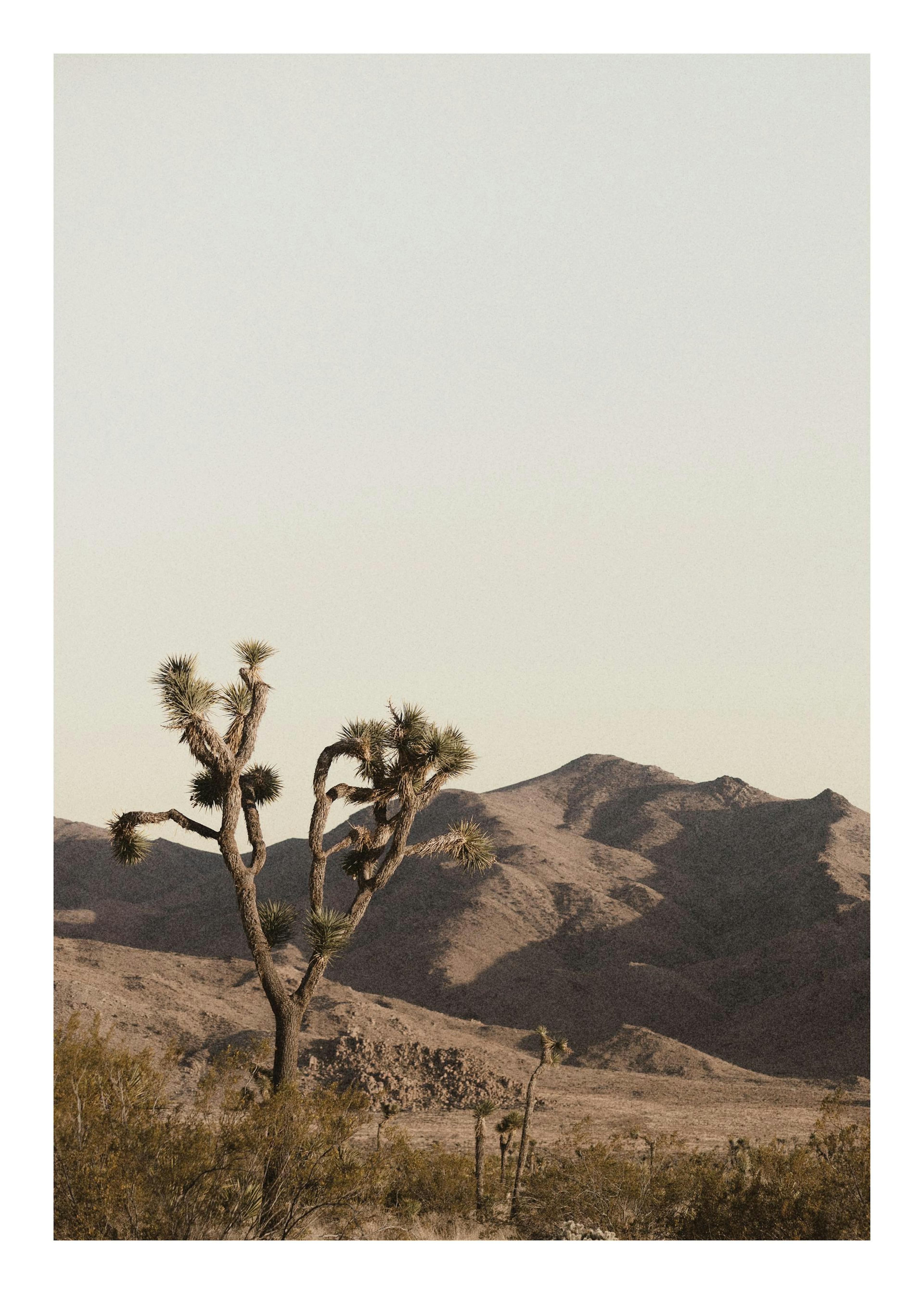 Ruddy Earth Poster 0