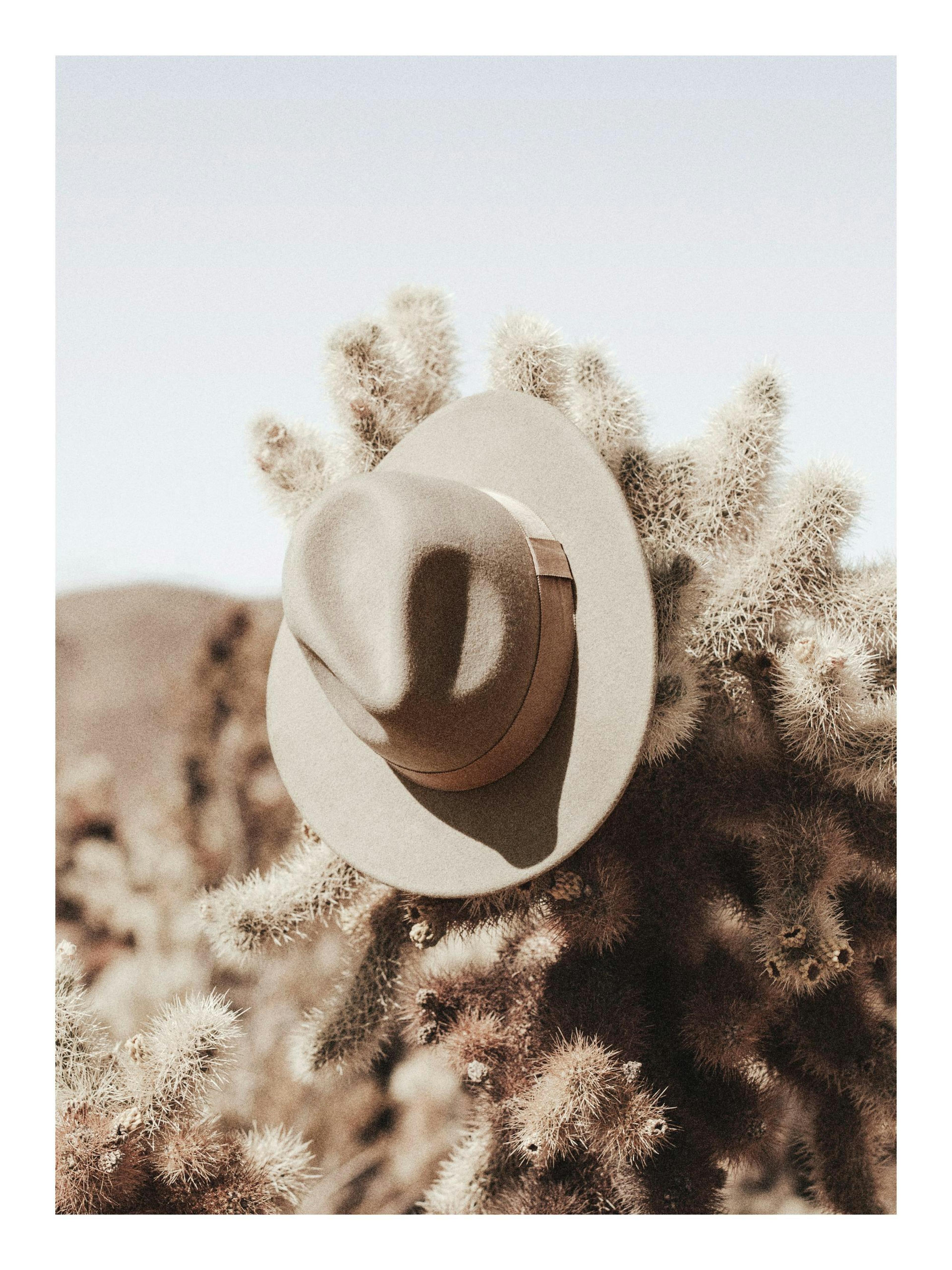 Hanging Cowboy Hat Poster