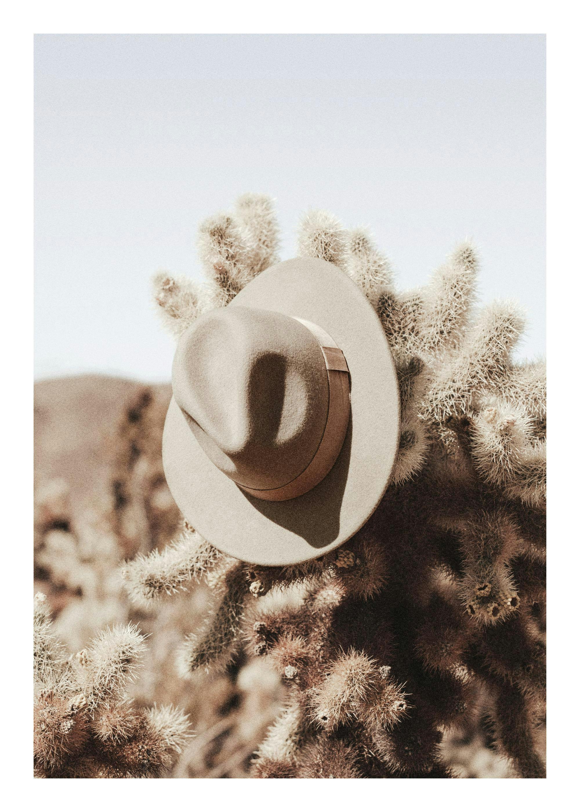 Hanging Cowboy Hat Affiche 0