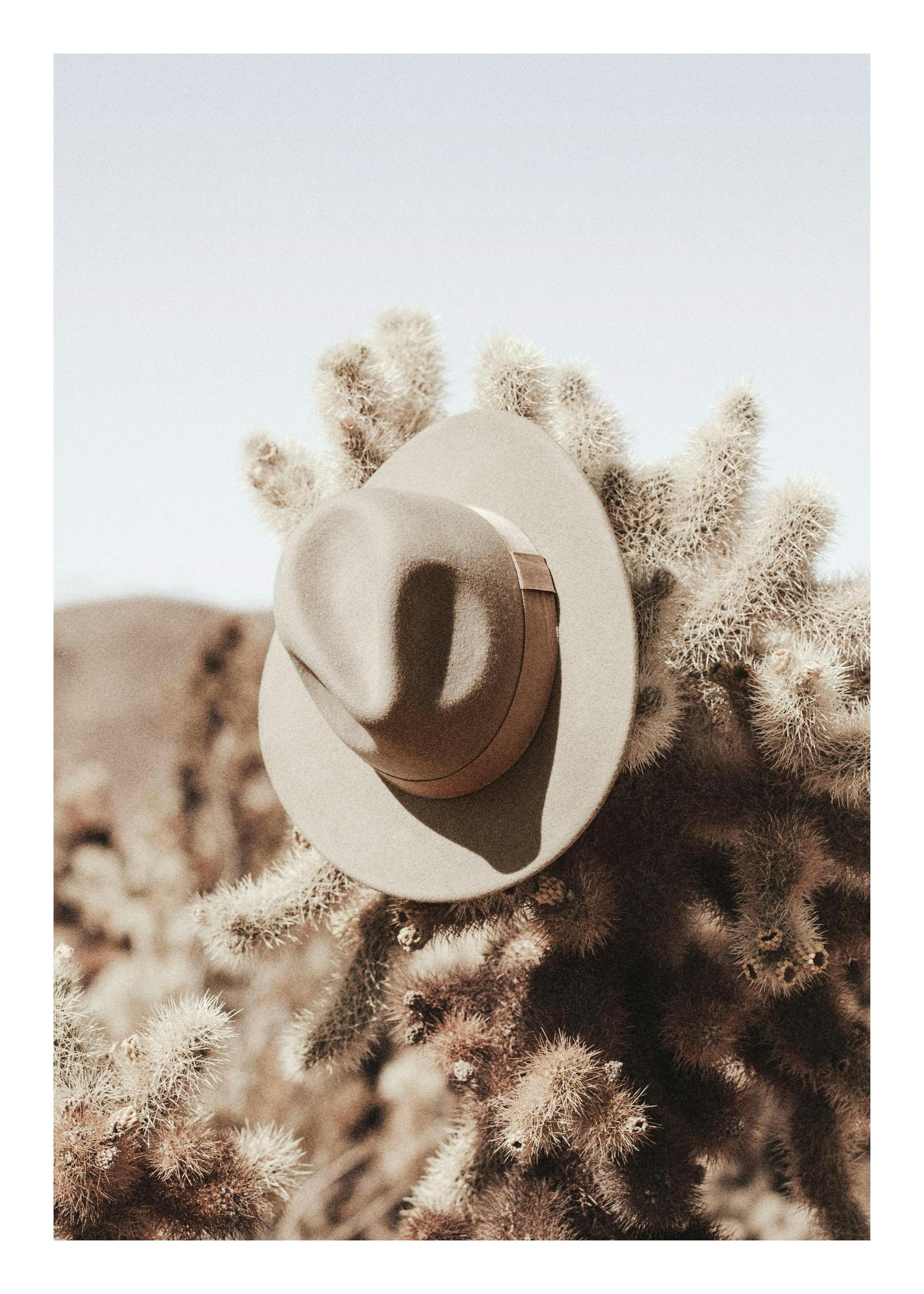 Hanging Cowboy Hat Print 0