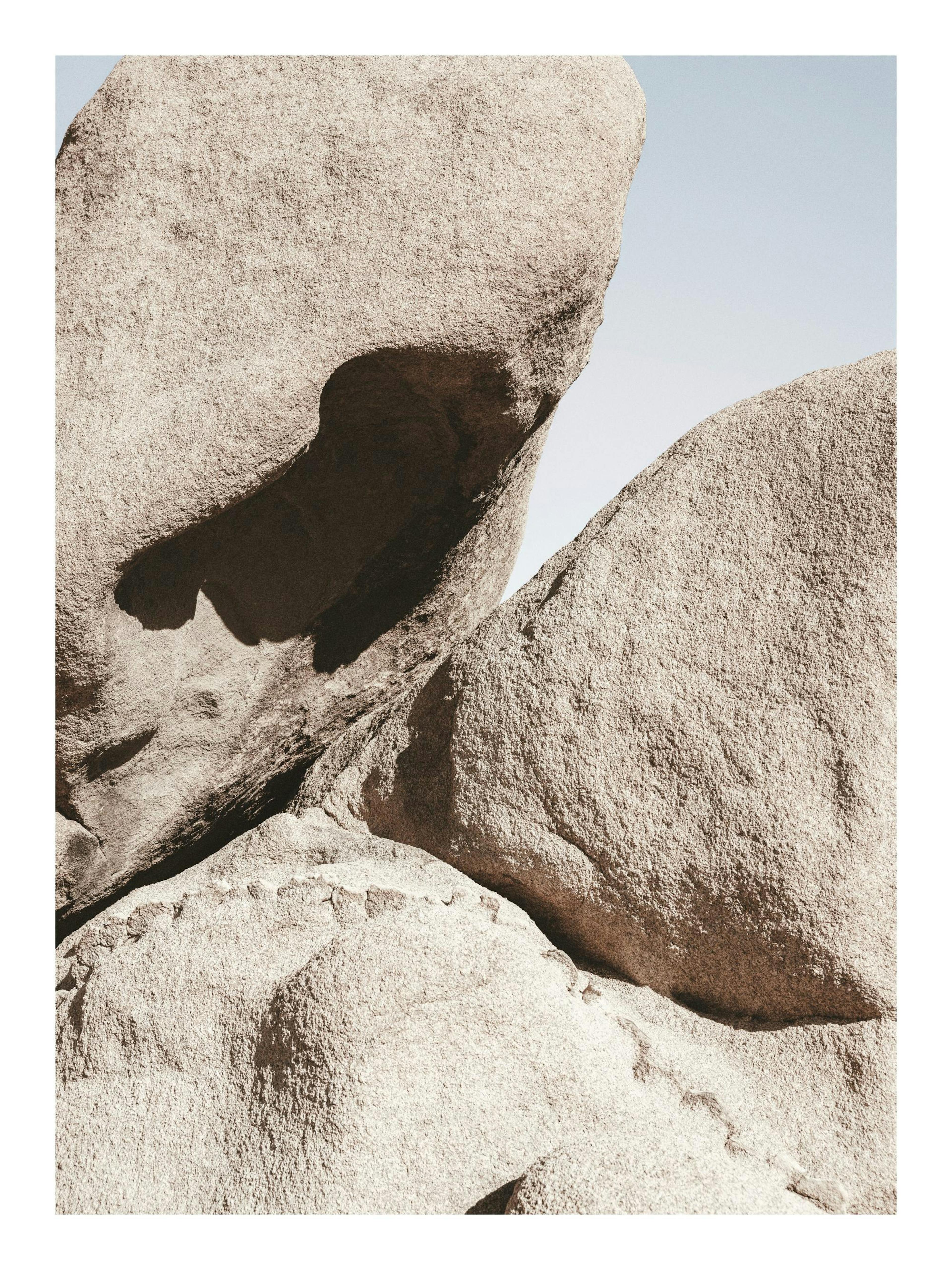 Bold Nature Print