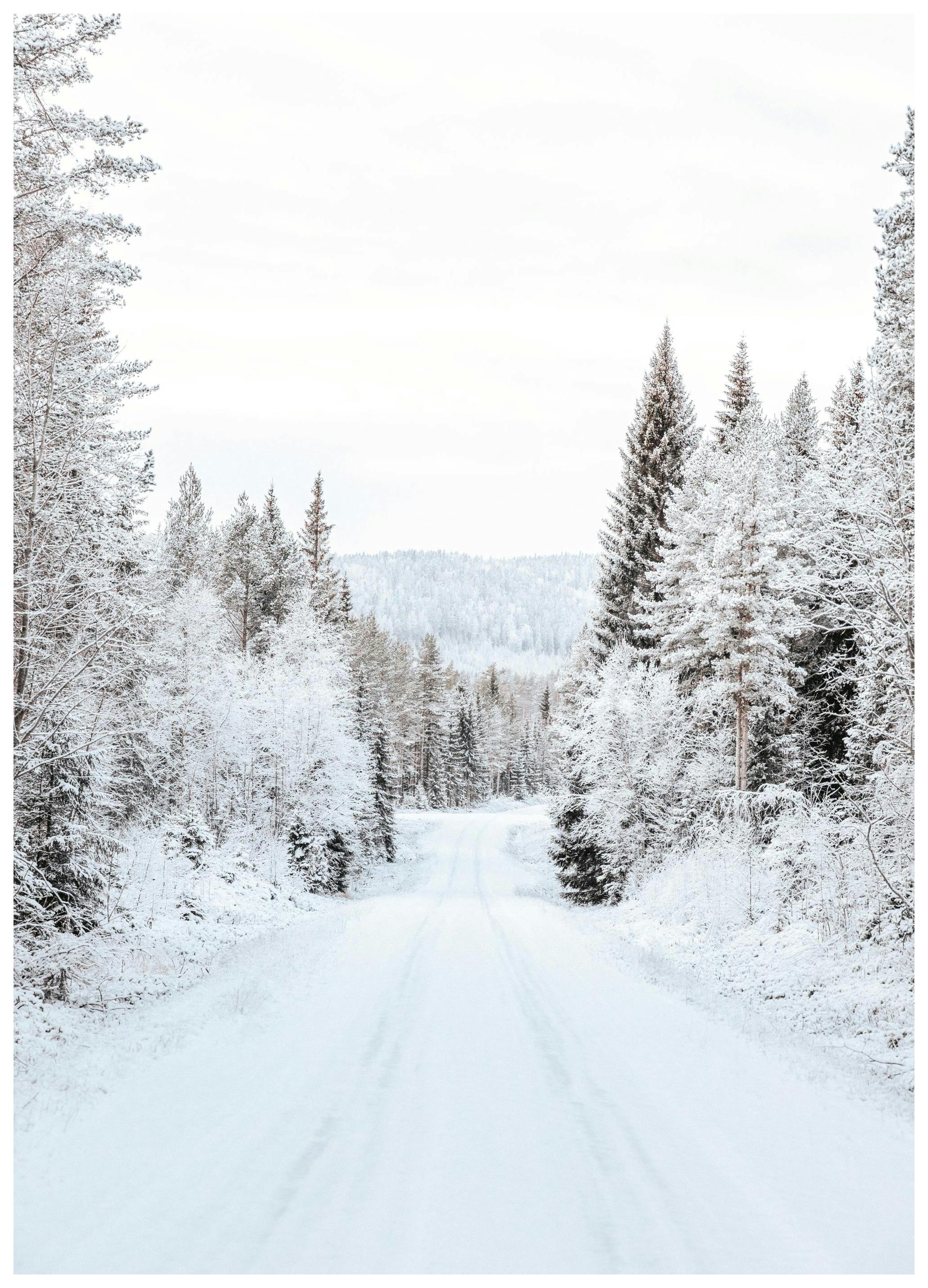 Snowy Forest Road Plakat (13x18 cm)