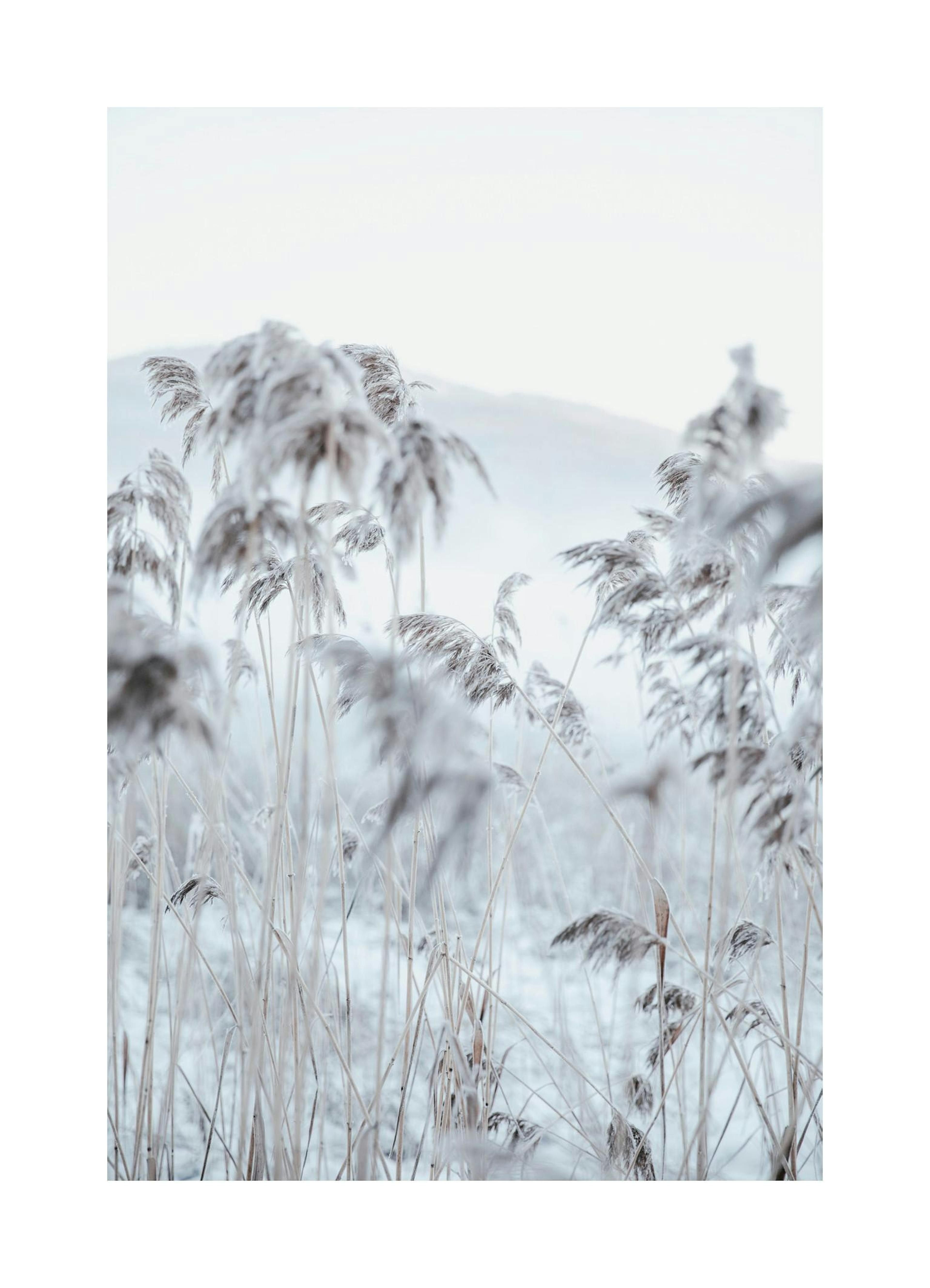 Product image: 1