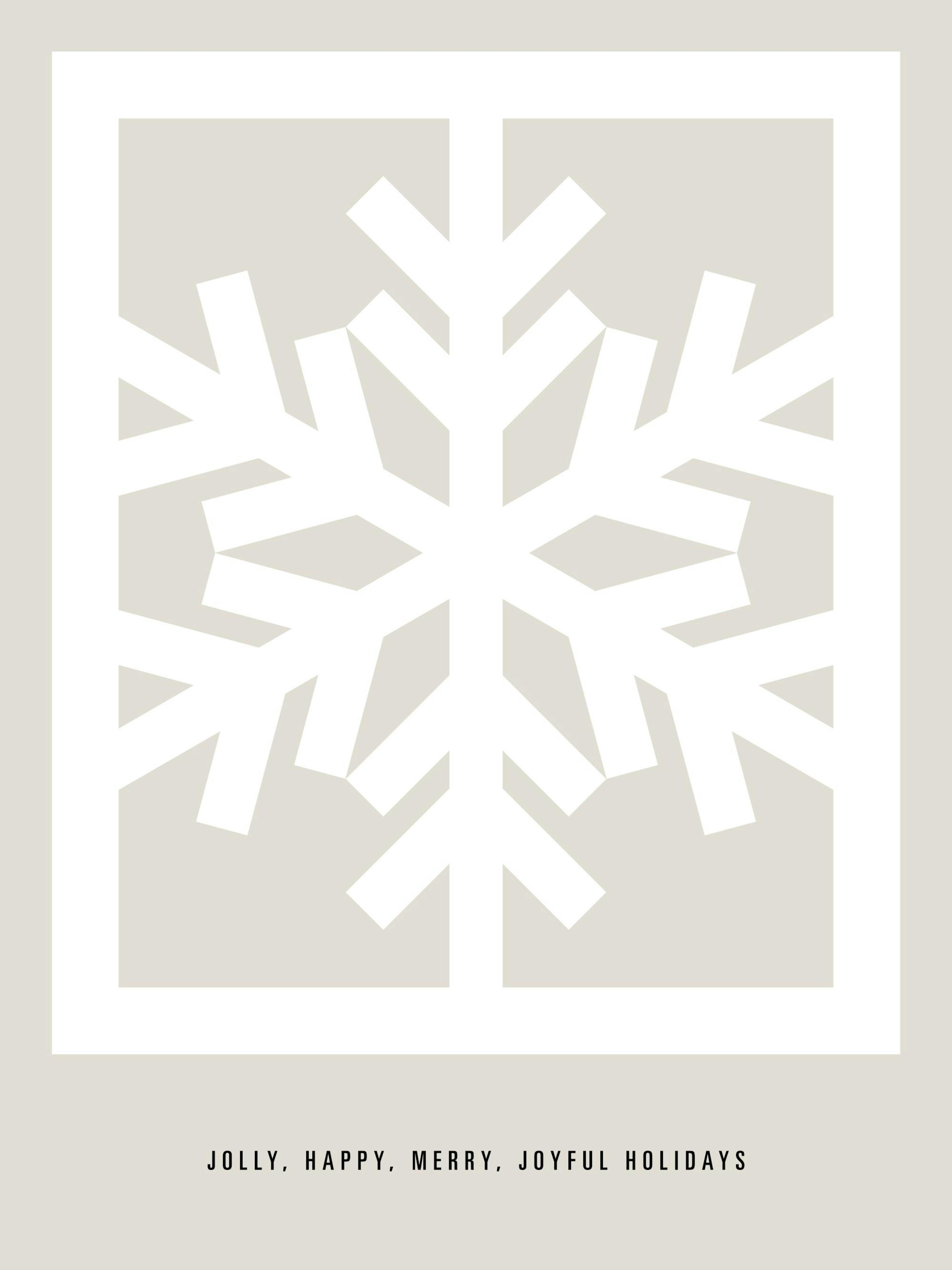 Graphic Snow Flake Print 0