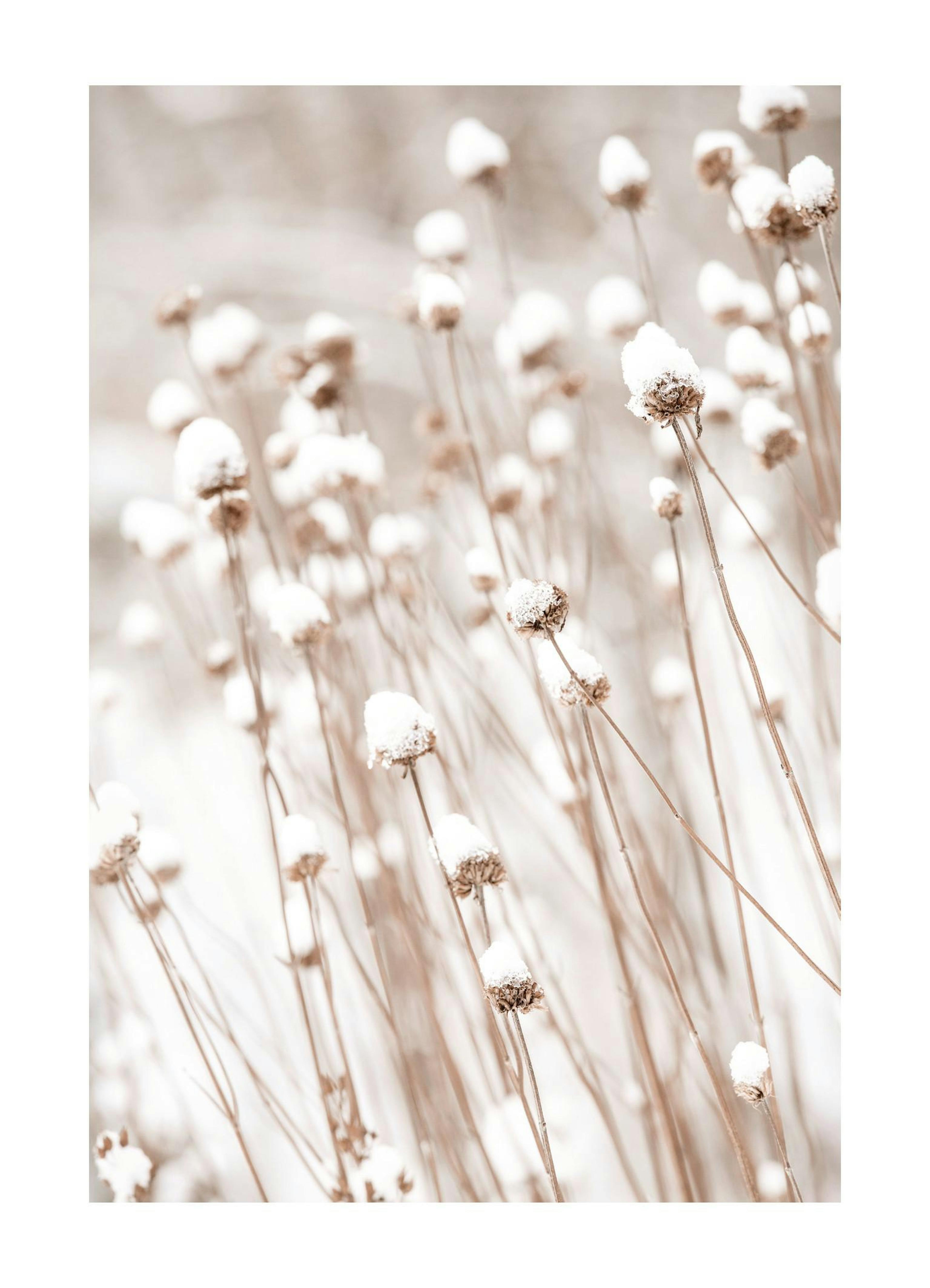Product image: 1