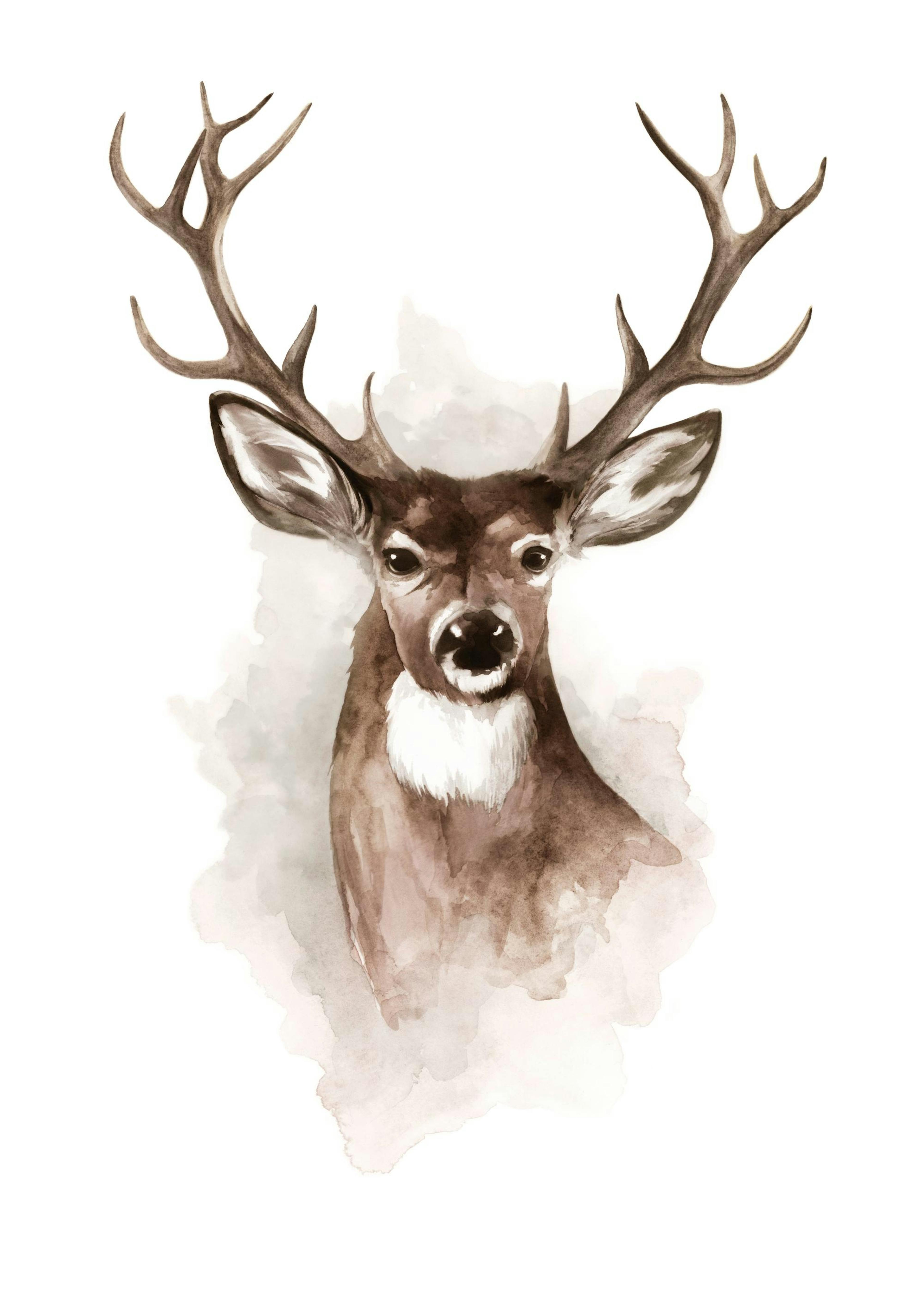 Watercolor Deer Poster 0