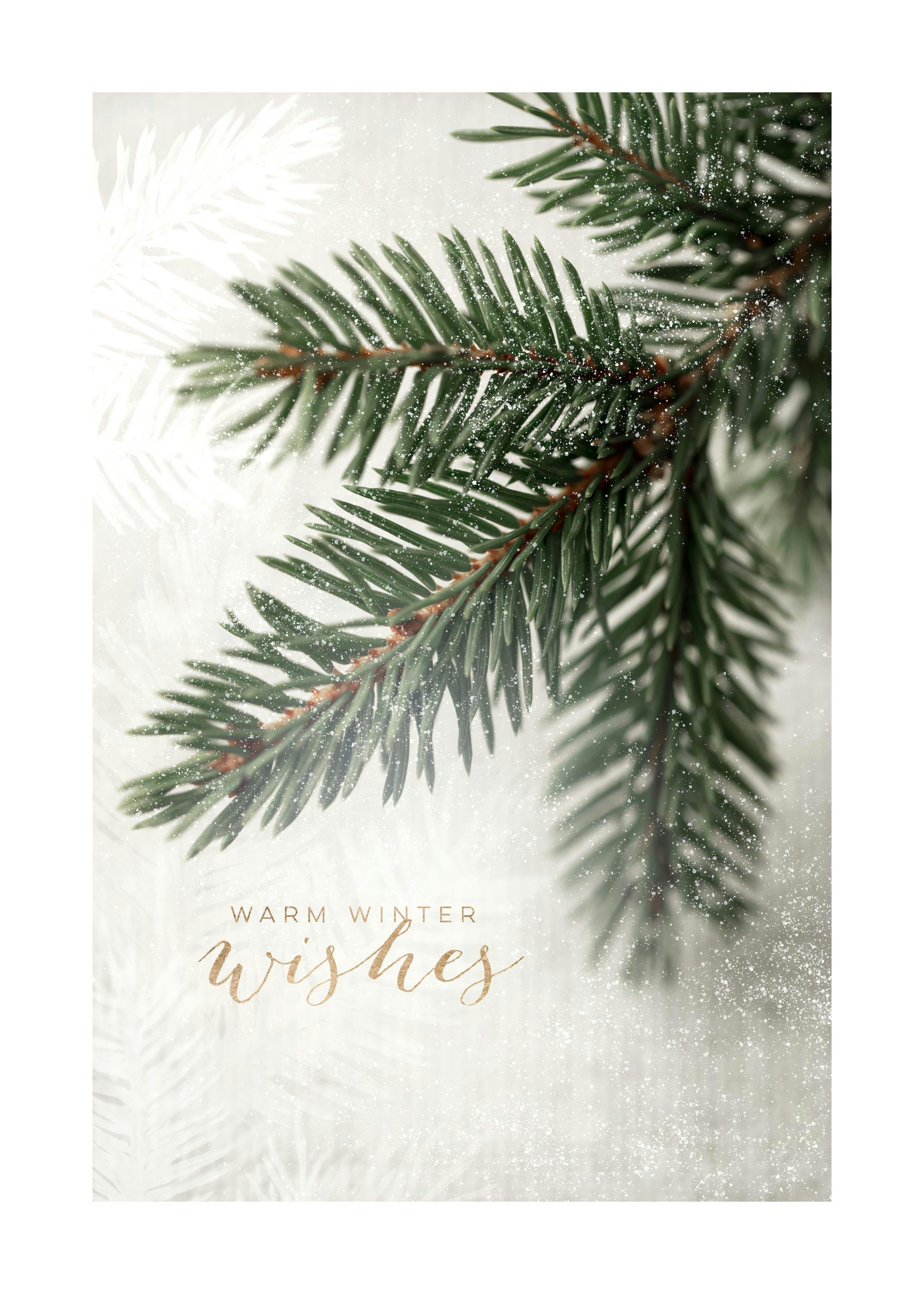Spruce Branch Poster 0