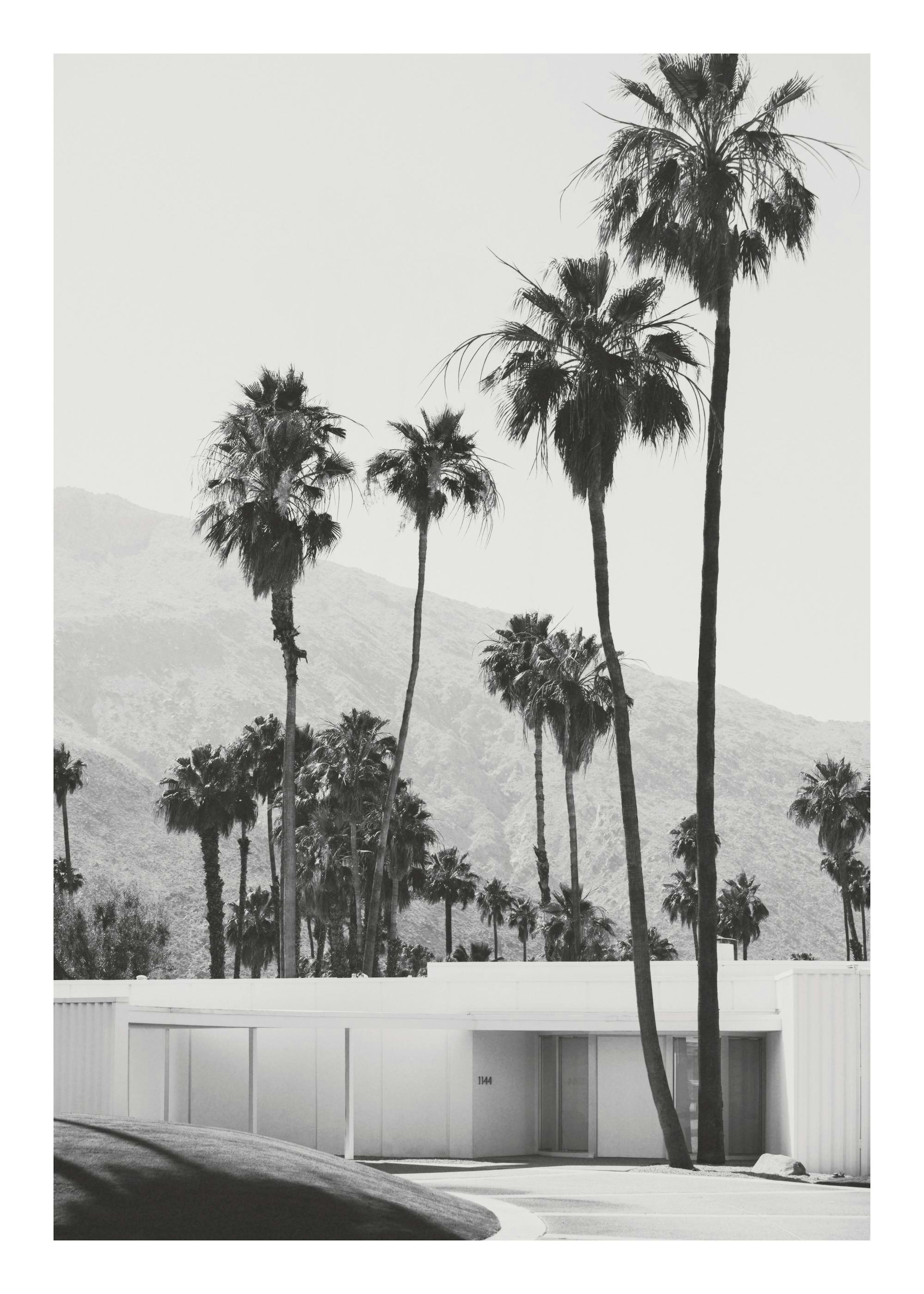 Desert House Poster 0