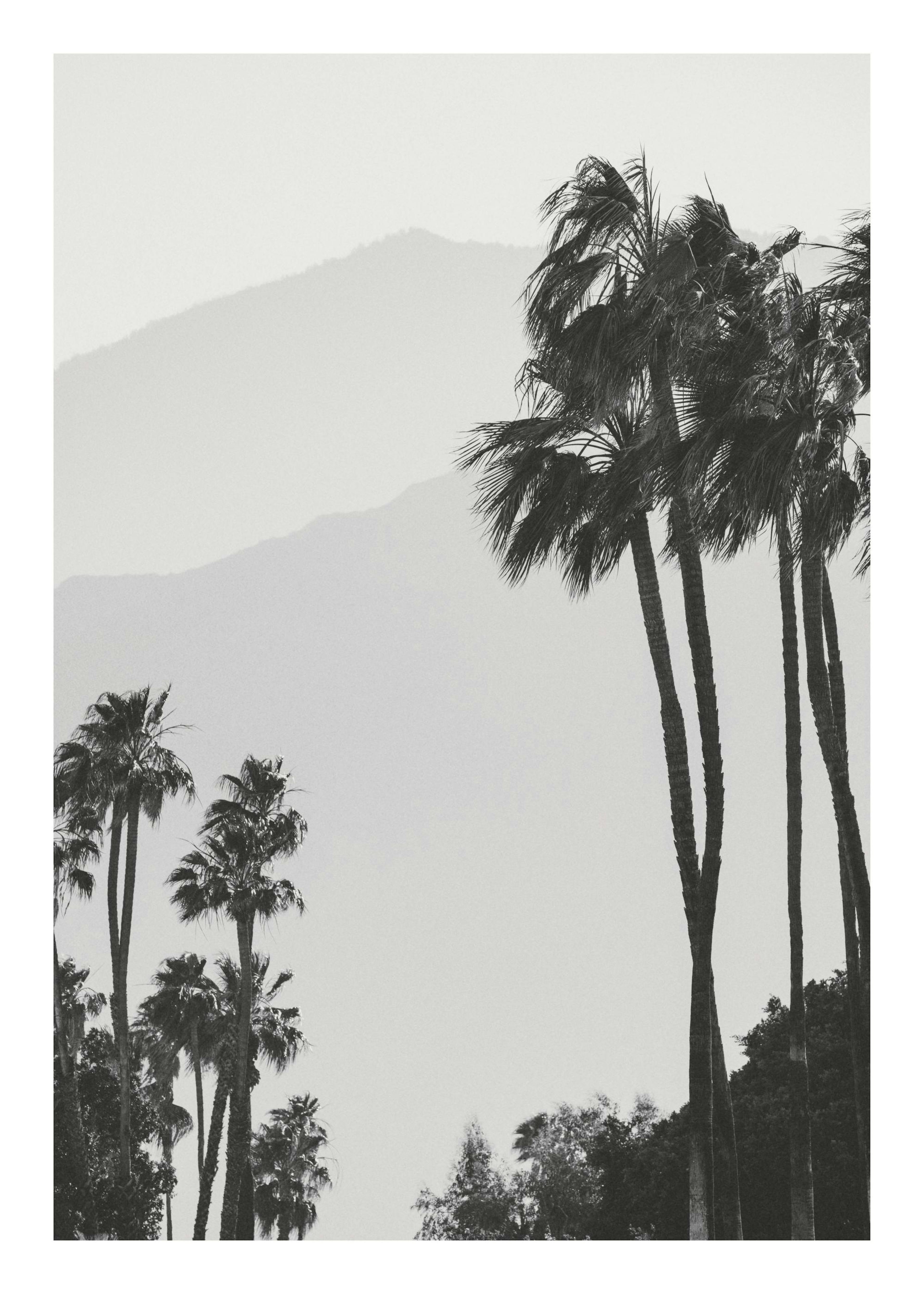 Misty Mountain View Affiche 0