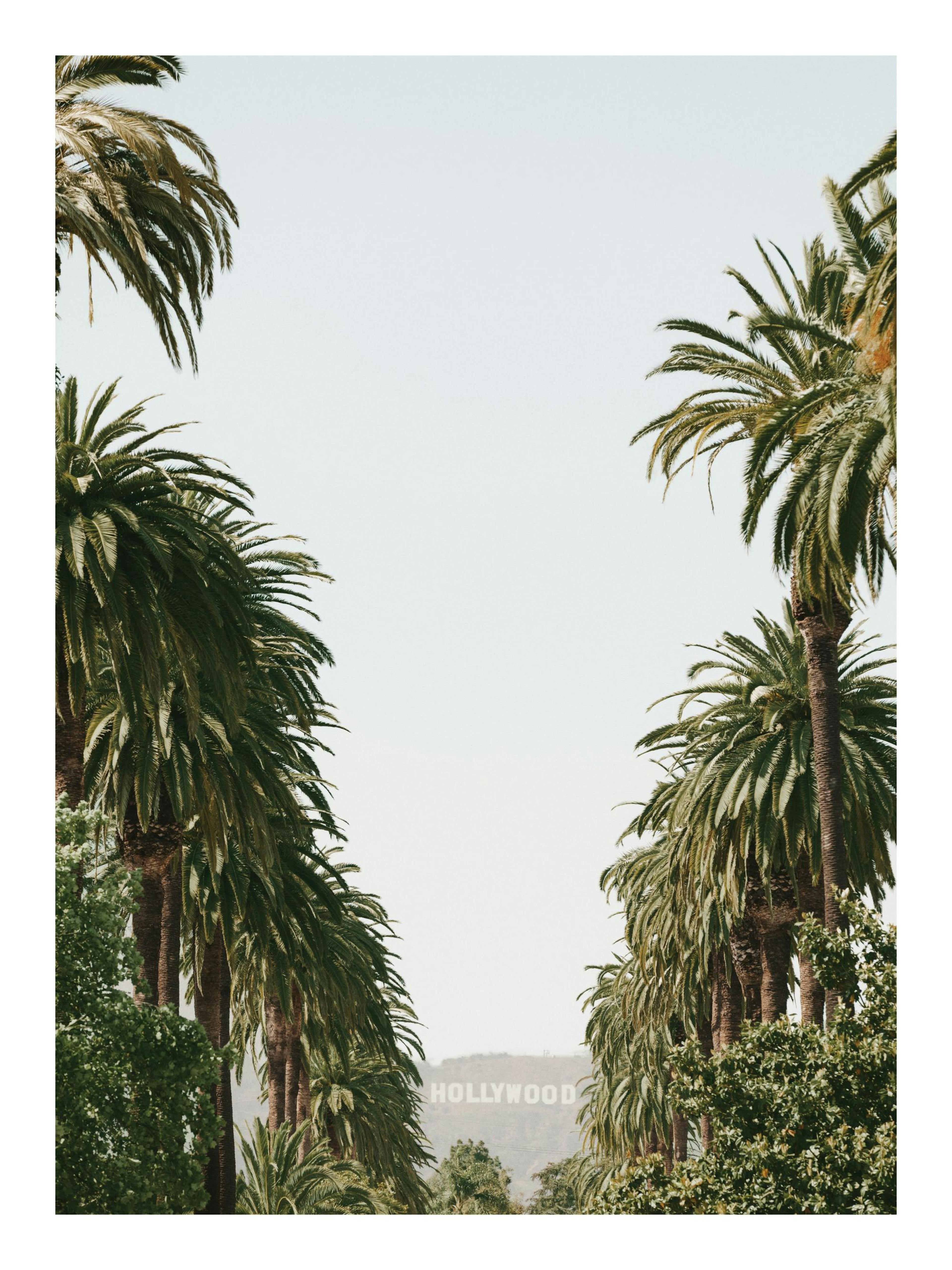 Iconic Hollywood Alley Print