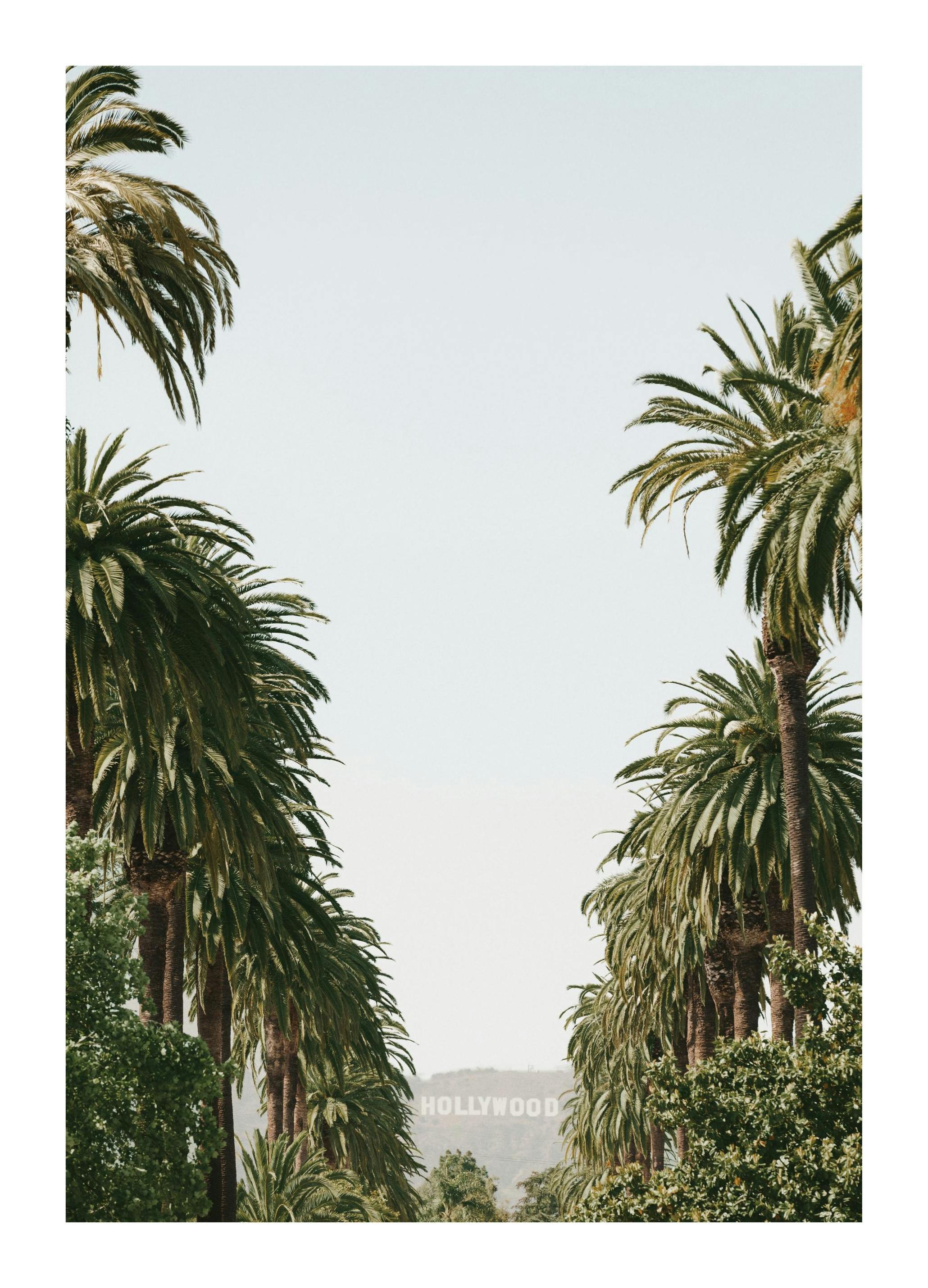 Iconic Hollywood Alley Poster (50x70 cm)