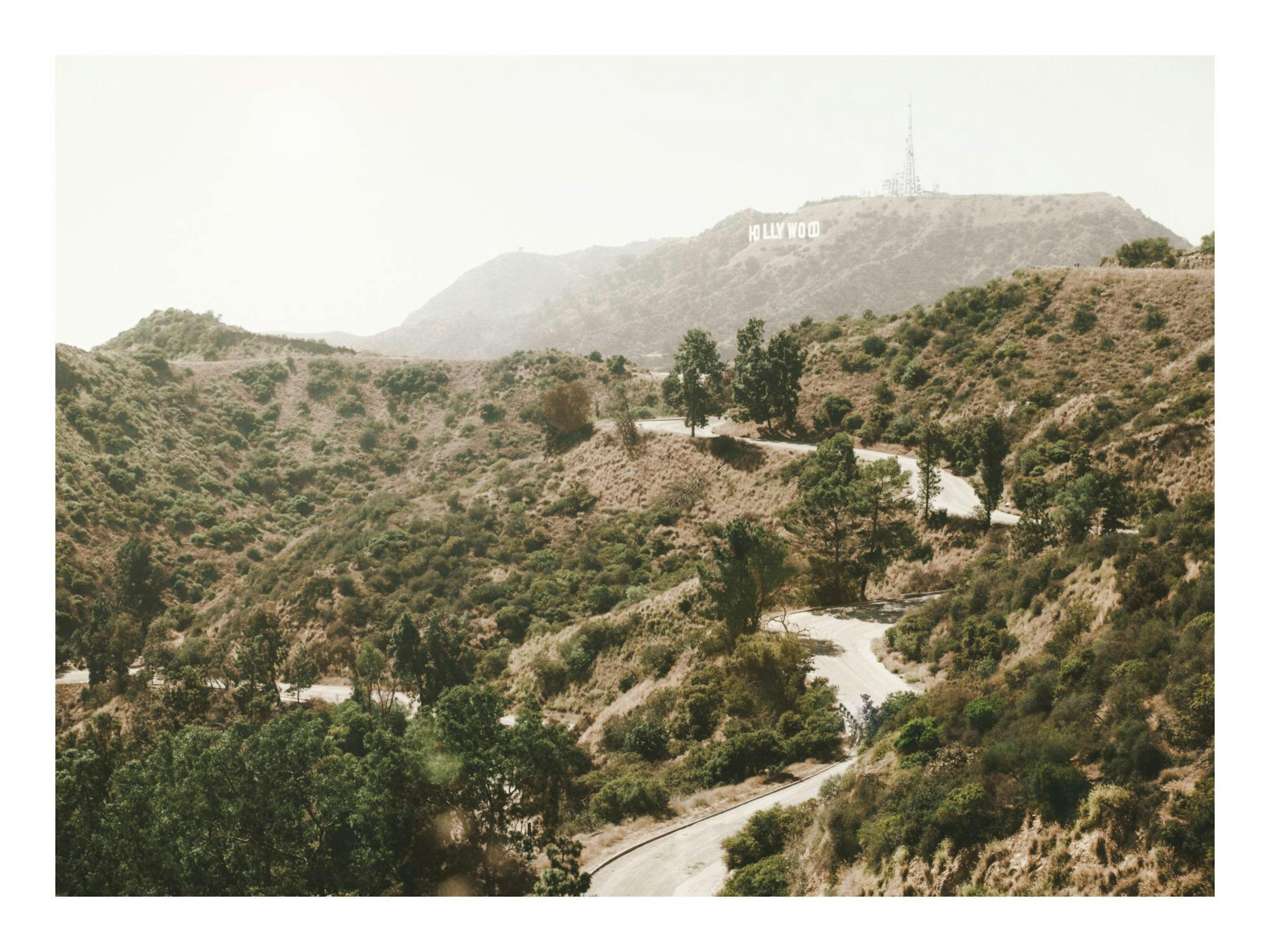 Winding Road Poster